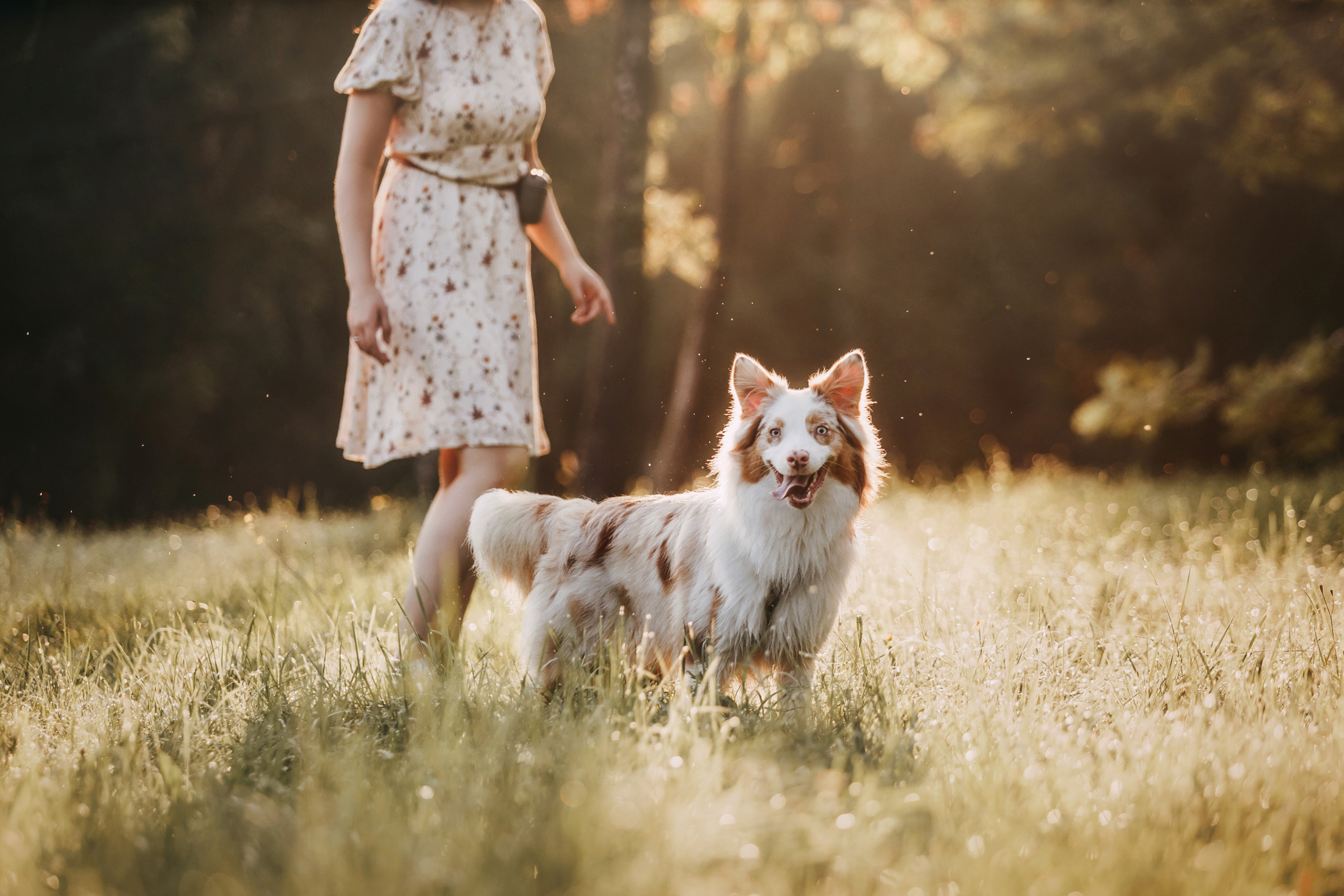 Наташа и Элфи. Фотограф-анималист Елена Радченко, Москва