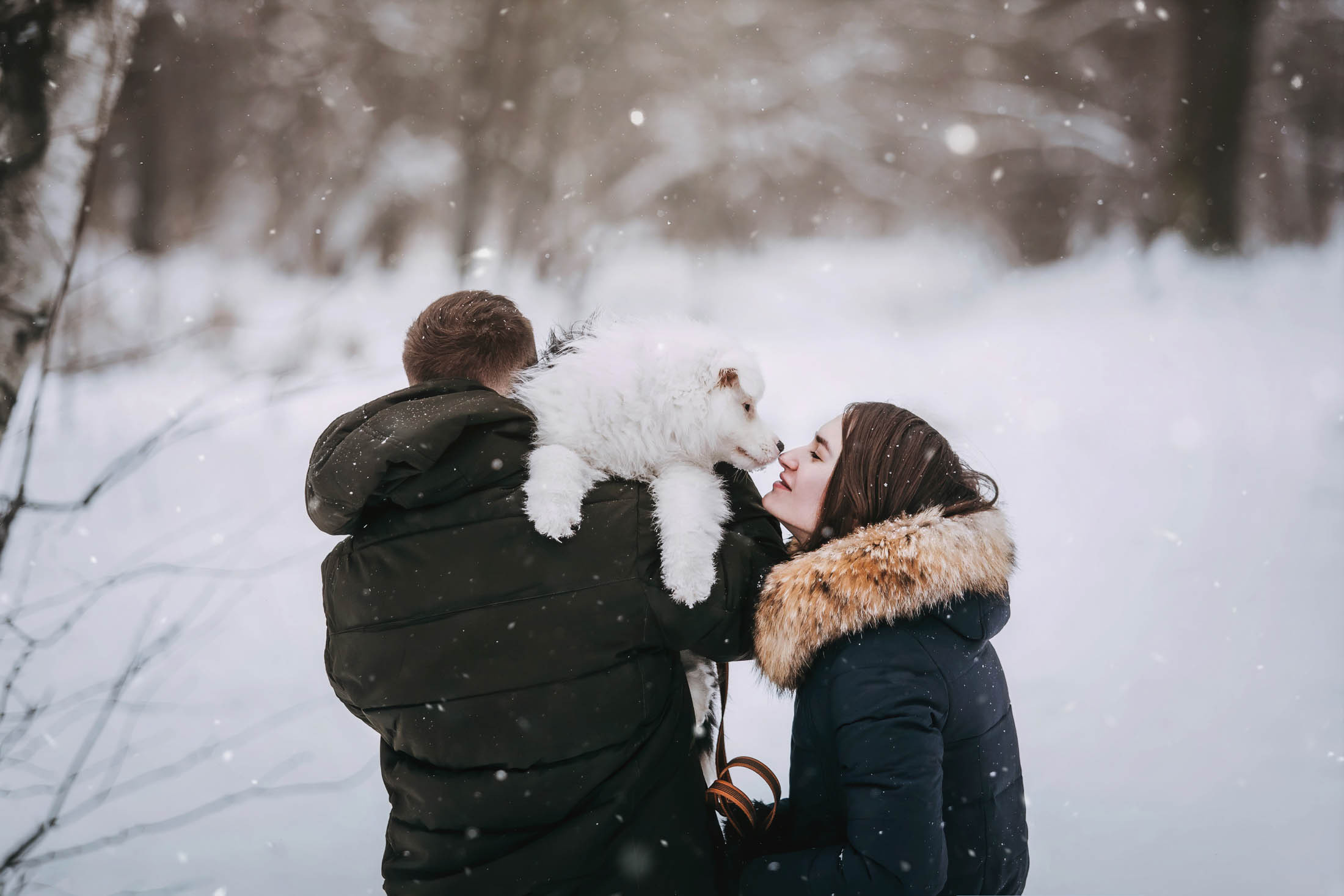 Эбби. Фотограф-анималист Елена Радченко, Москва