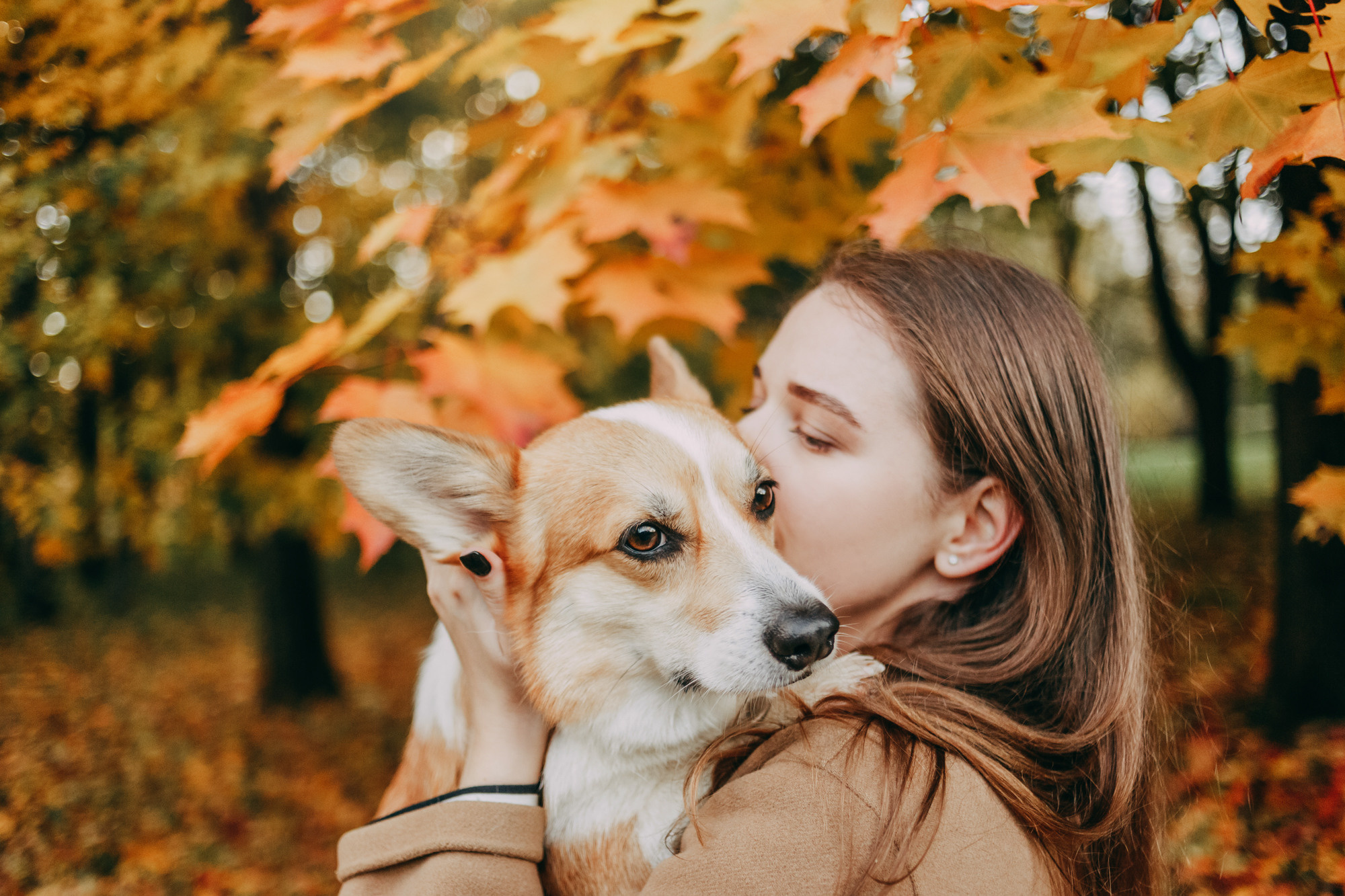 Настя и Пумба. Фотограф-анималист Елена Радченко, Москва
