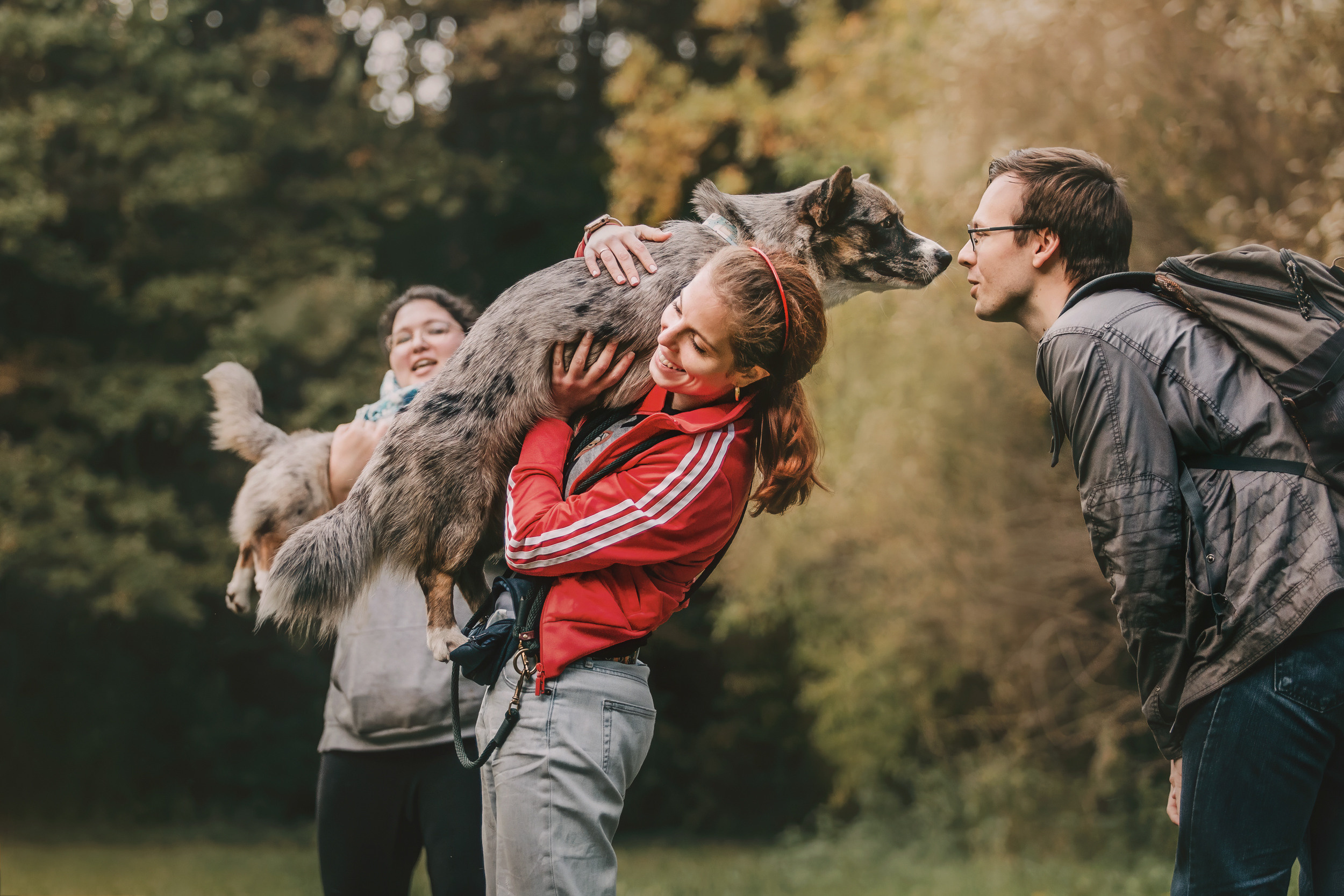 Корги встреча. Фотограф-анималист Елена Радченко, Москва