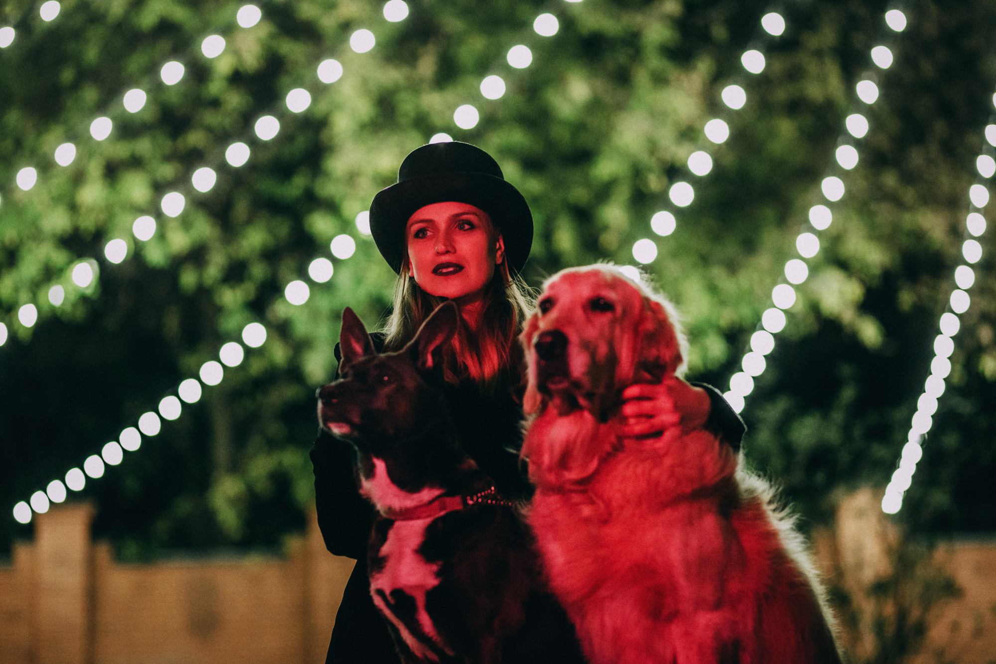 Ира, Бэлла и Альма. Фотограф-анималист Елена Радченко, Москва