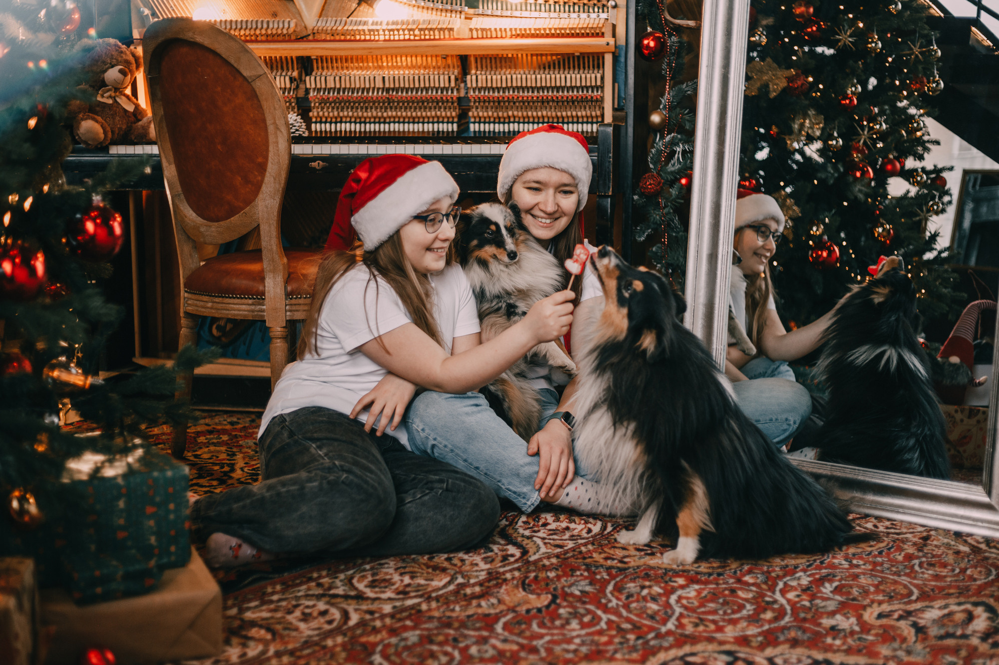 Новогодний фотодень. Фотограф-анималист Елена Радченко, Москва