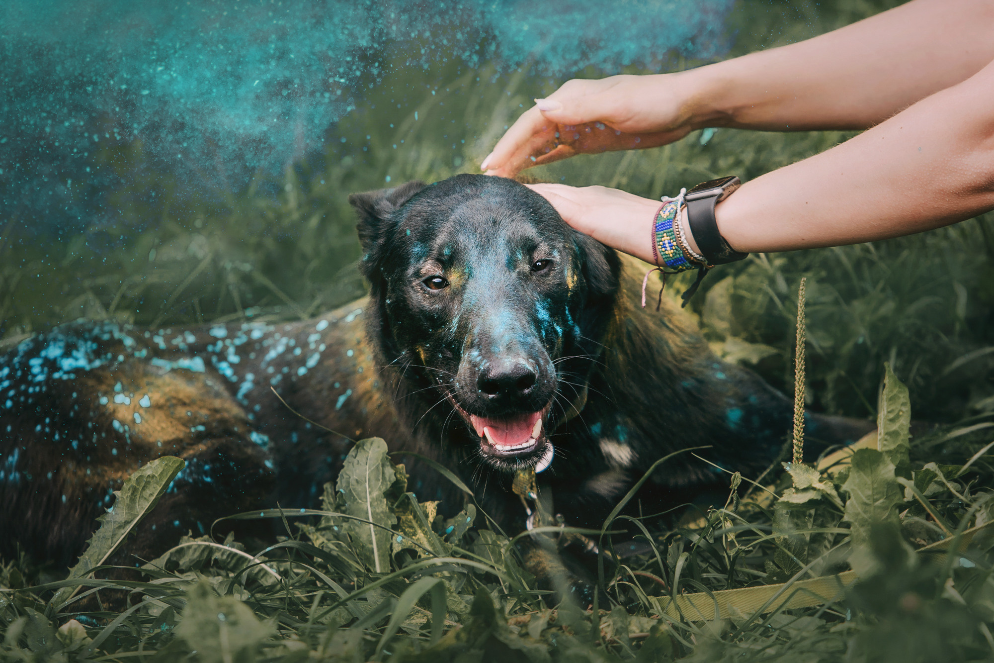 Чили. Фотограф-анималист Елена Радченко, Москва