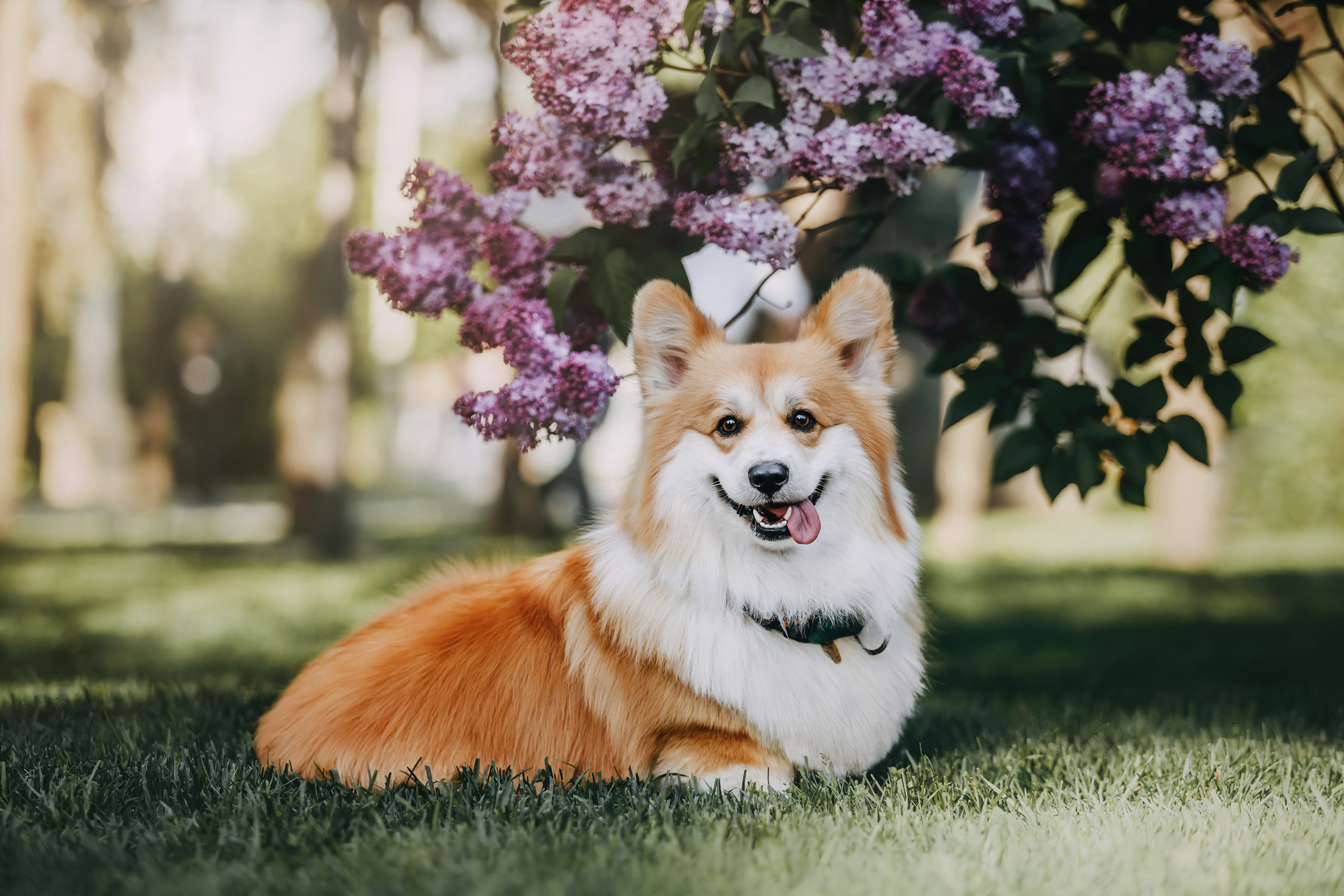 Аня и Винни. Фотограф-анималист Елена Радченко, Москва