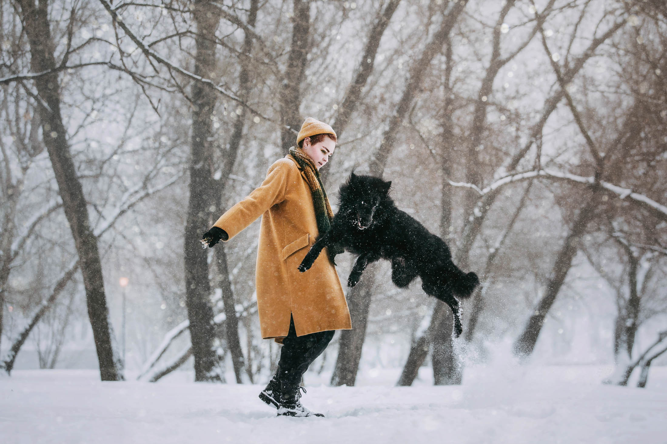 Мерлин и Адидас. Фотограф-анималист Елена Радченко, Москва