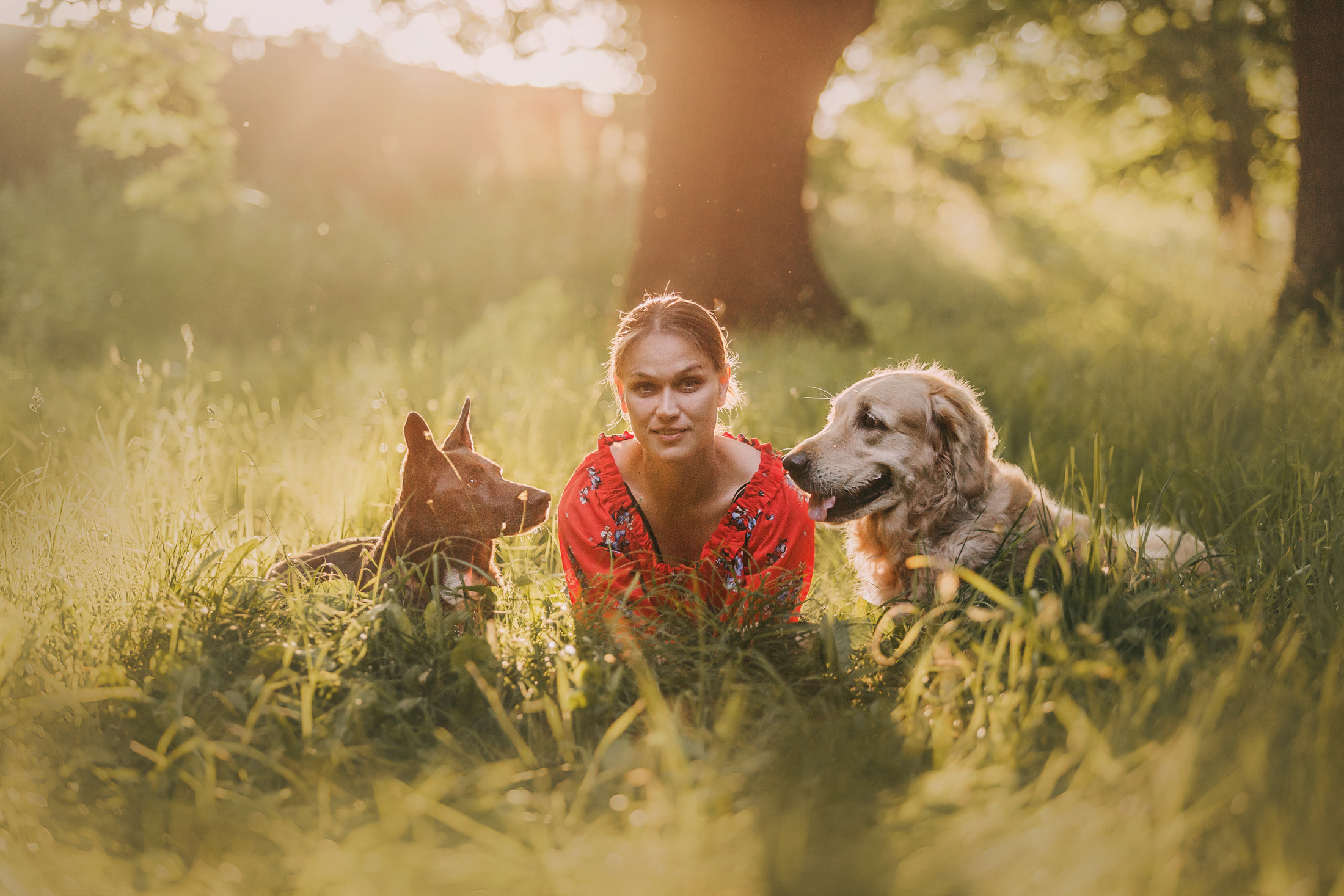 Ира, Бэлла и Альма. Фотограф-анималист Елена Радченко, Москва