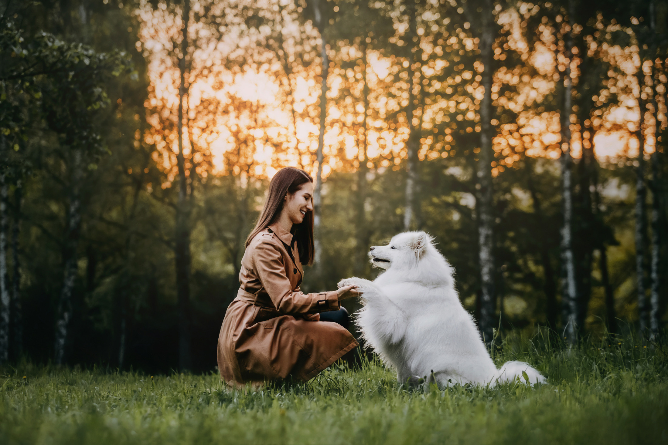 Эффи. Фотограф-анималист Елена Радченко, Москва