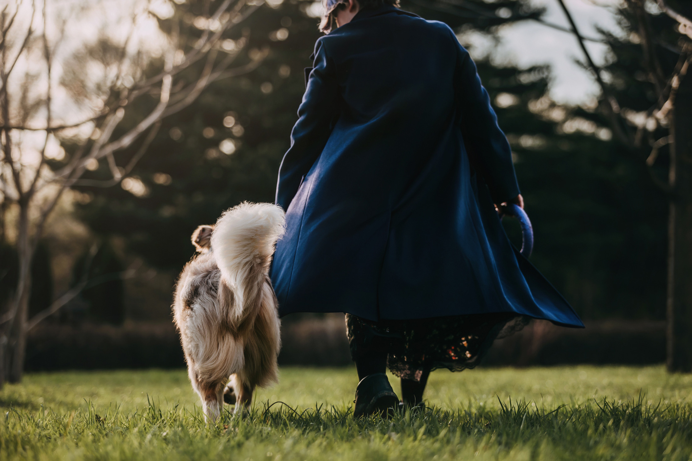 Джинни. Фотограф-анималист Елена Радченко, Москва