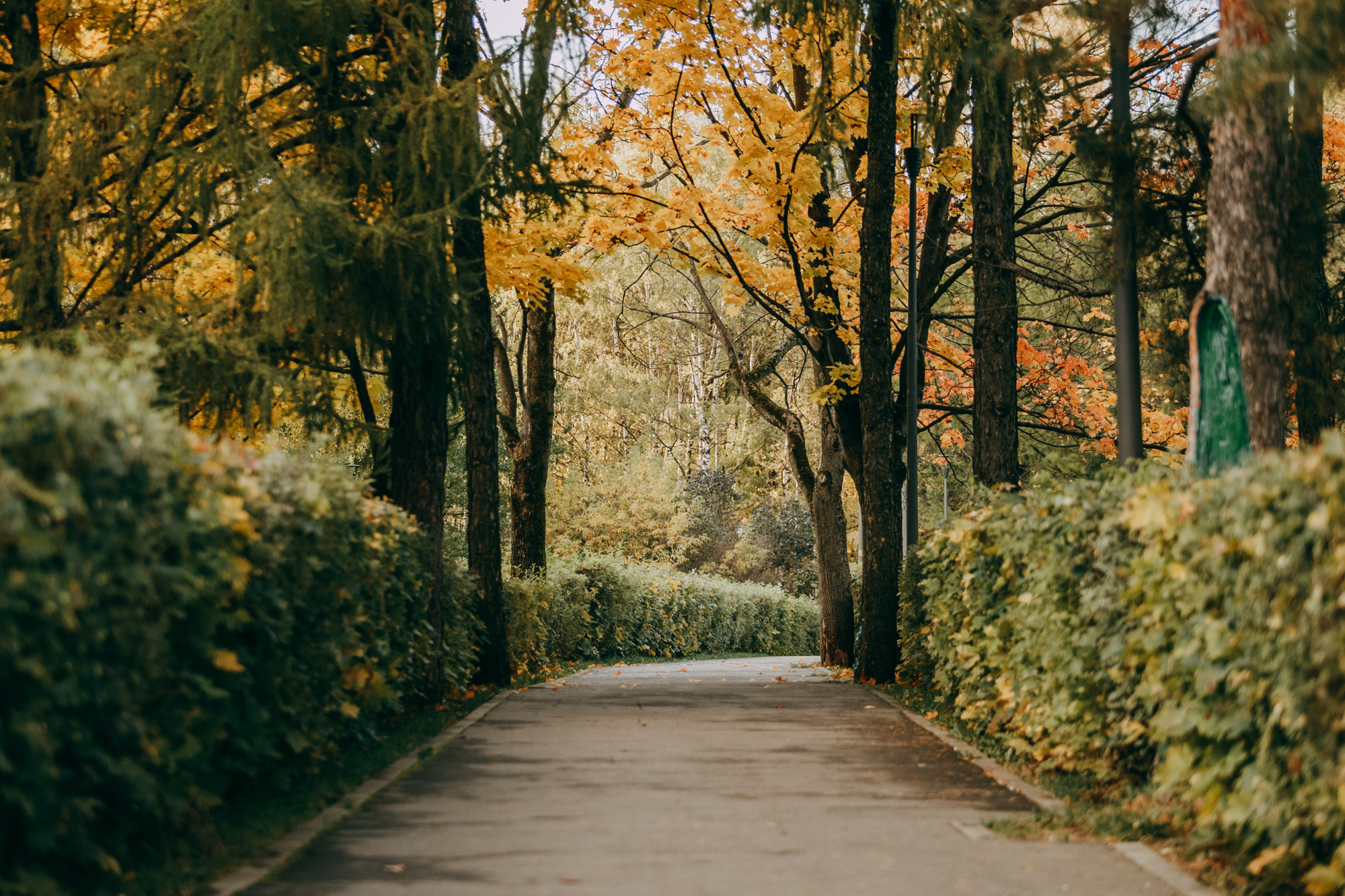 Настя и Пумба. Фотограф-анималист Елена Радченко, Москва