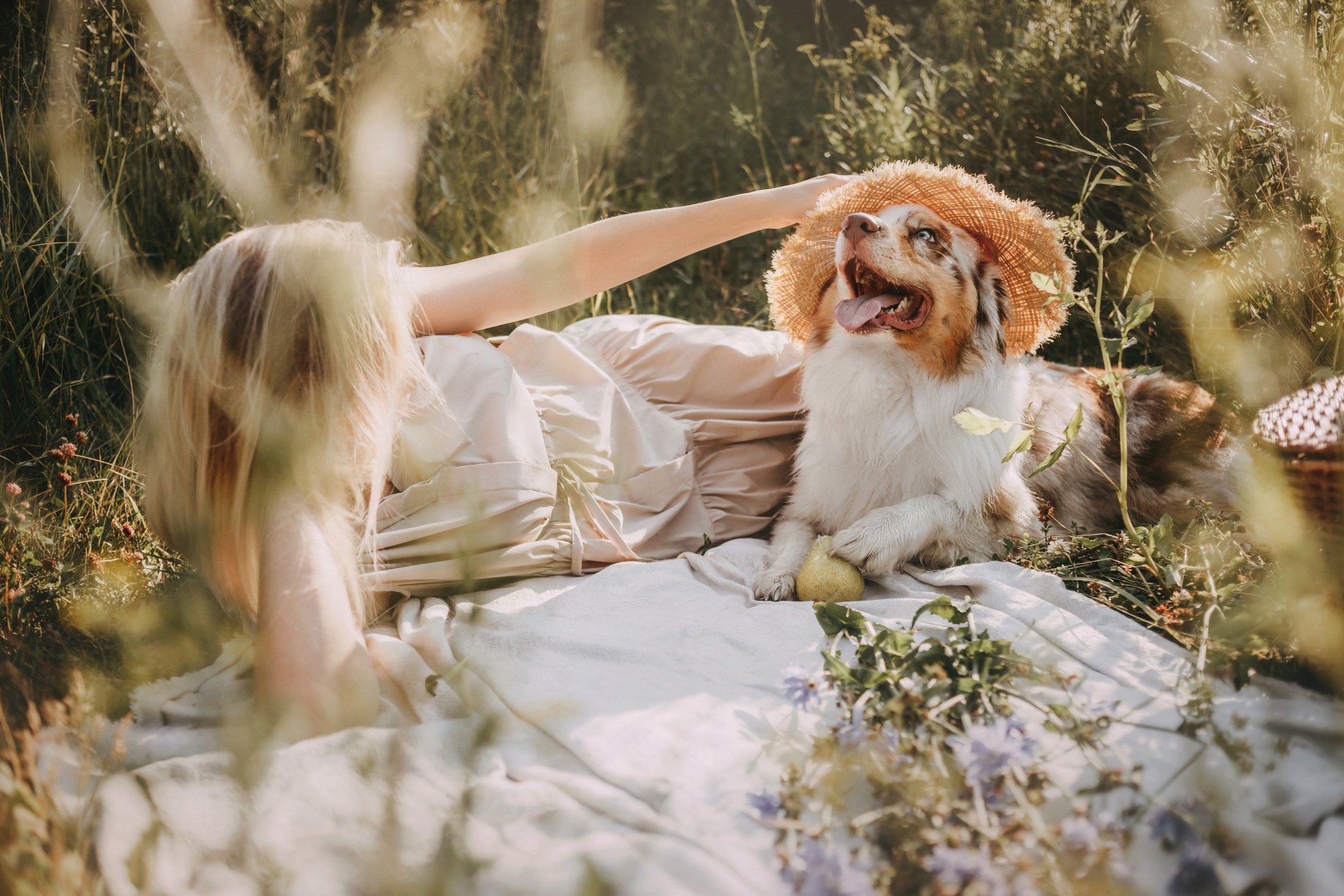 Хаул. Фотограф-анималист Елена Радченко, Москва