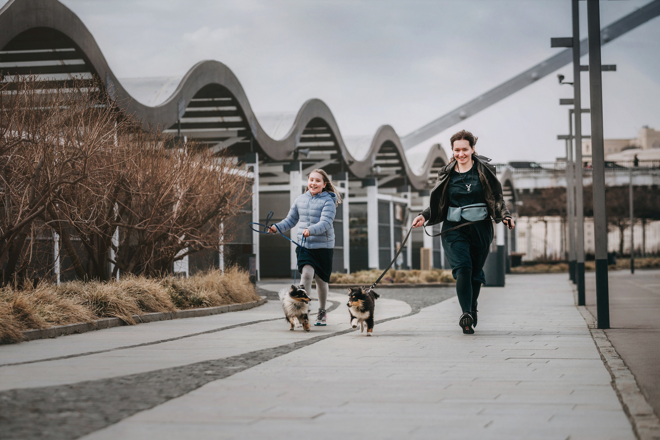 Патрик и Руфус. Фотограф-анималист Елена Радченко, Москва