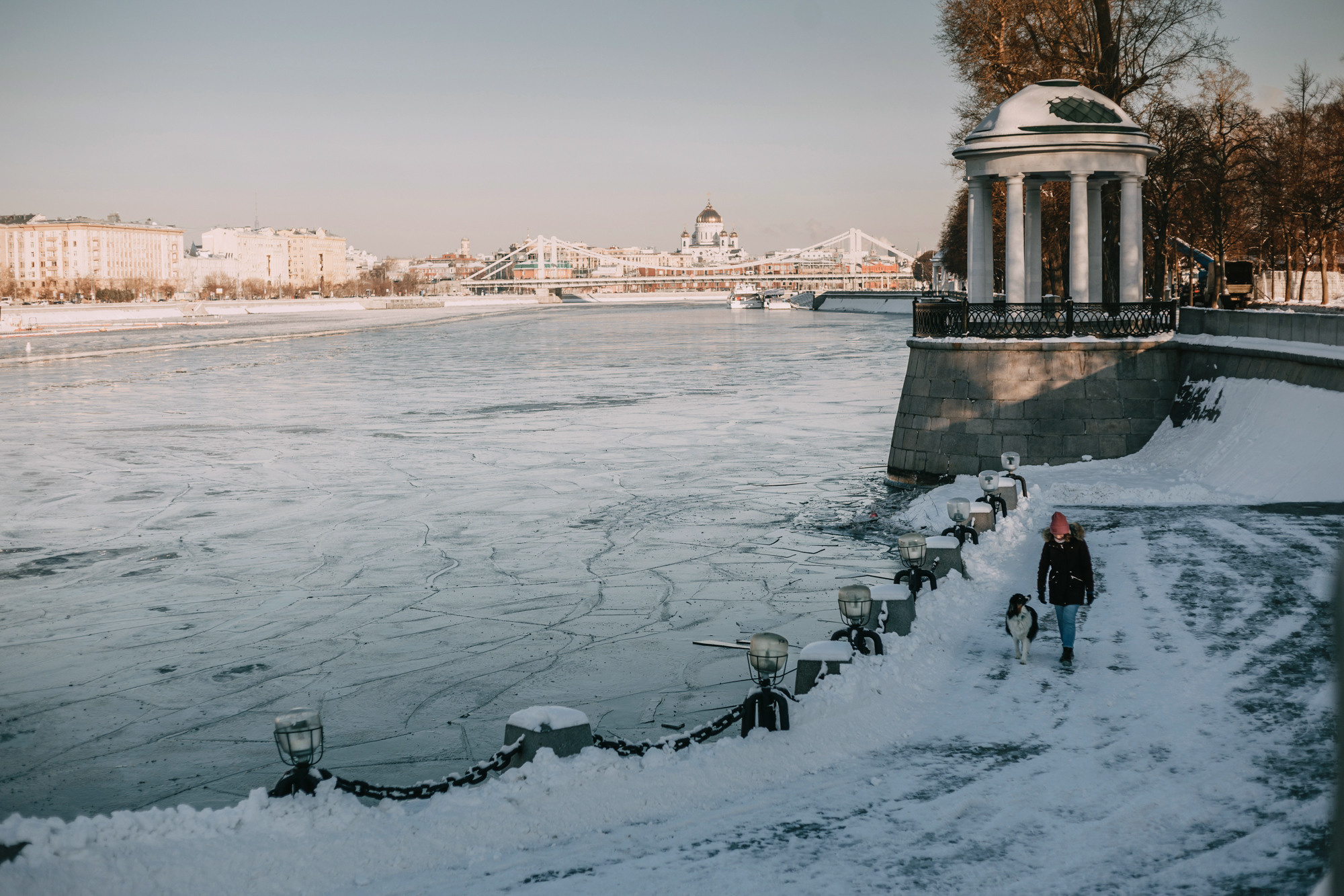 Анна и Чарли. Фотограф-анималист Елена Радченко, Москва