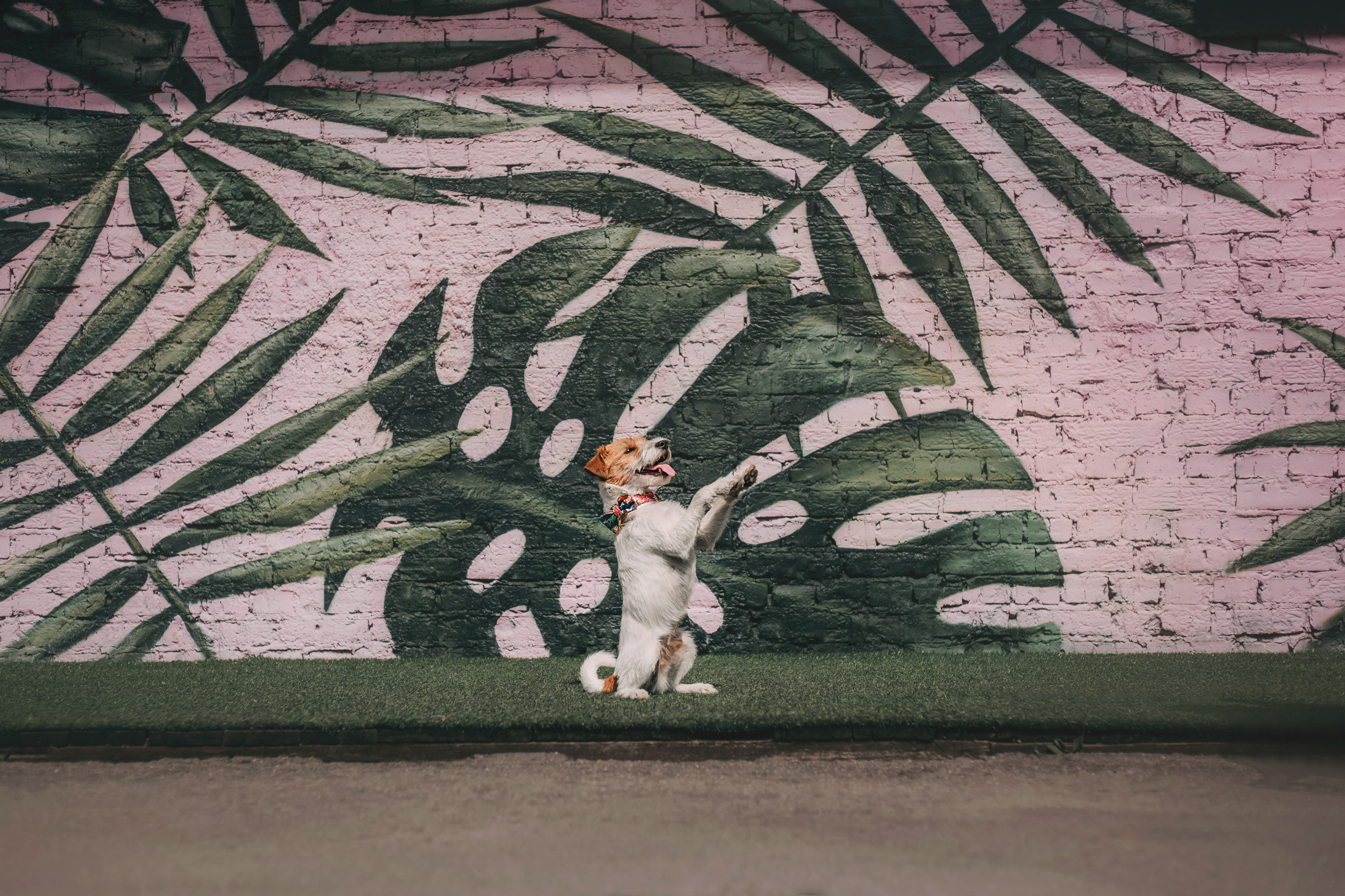 Женя, Марина и Теон. Фотограф-анималист Елена Радченко, Москва