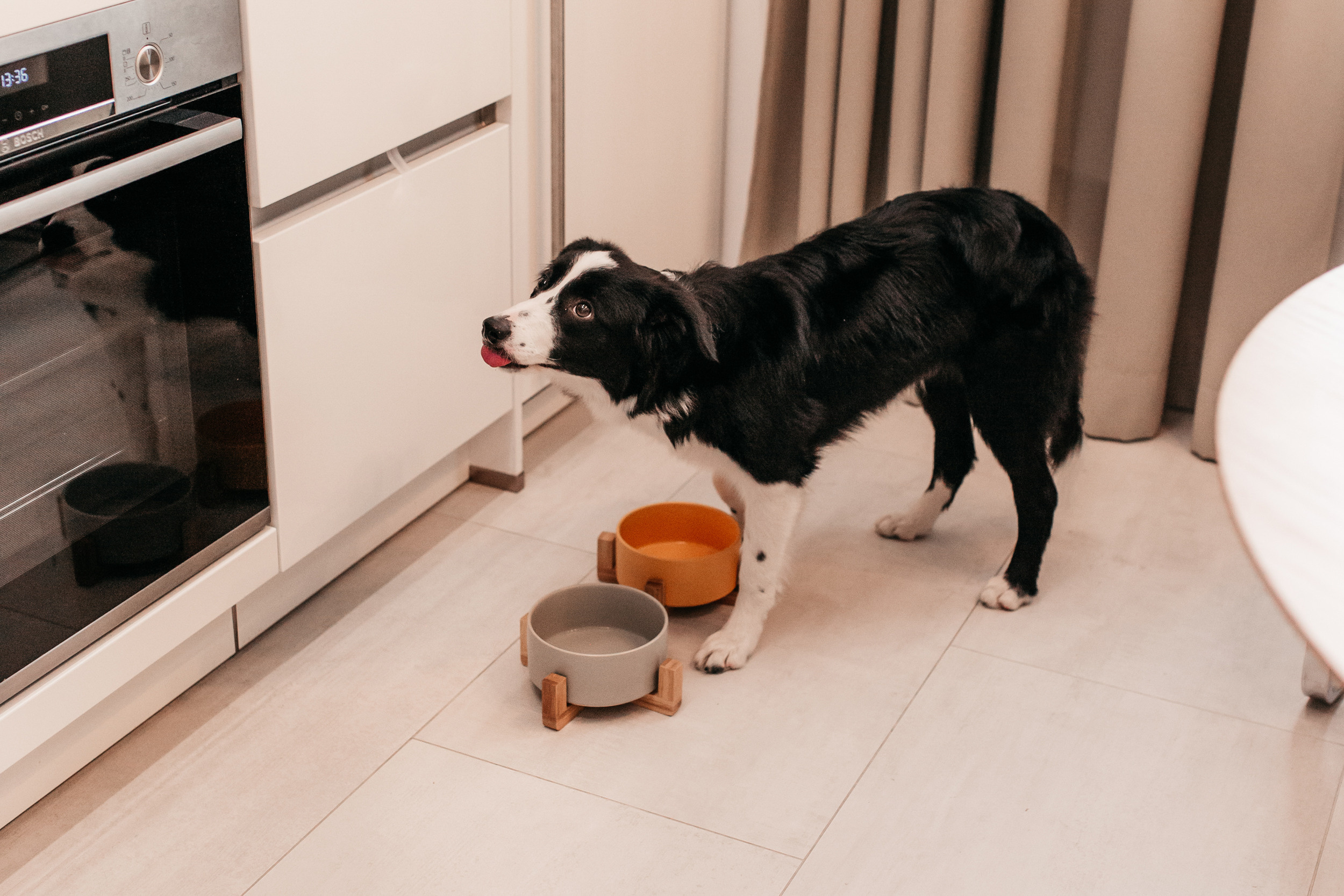 Магазин Bumbaboo. Фотограф-анималист Елена Радченко, Москва