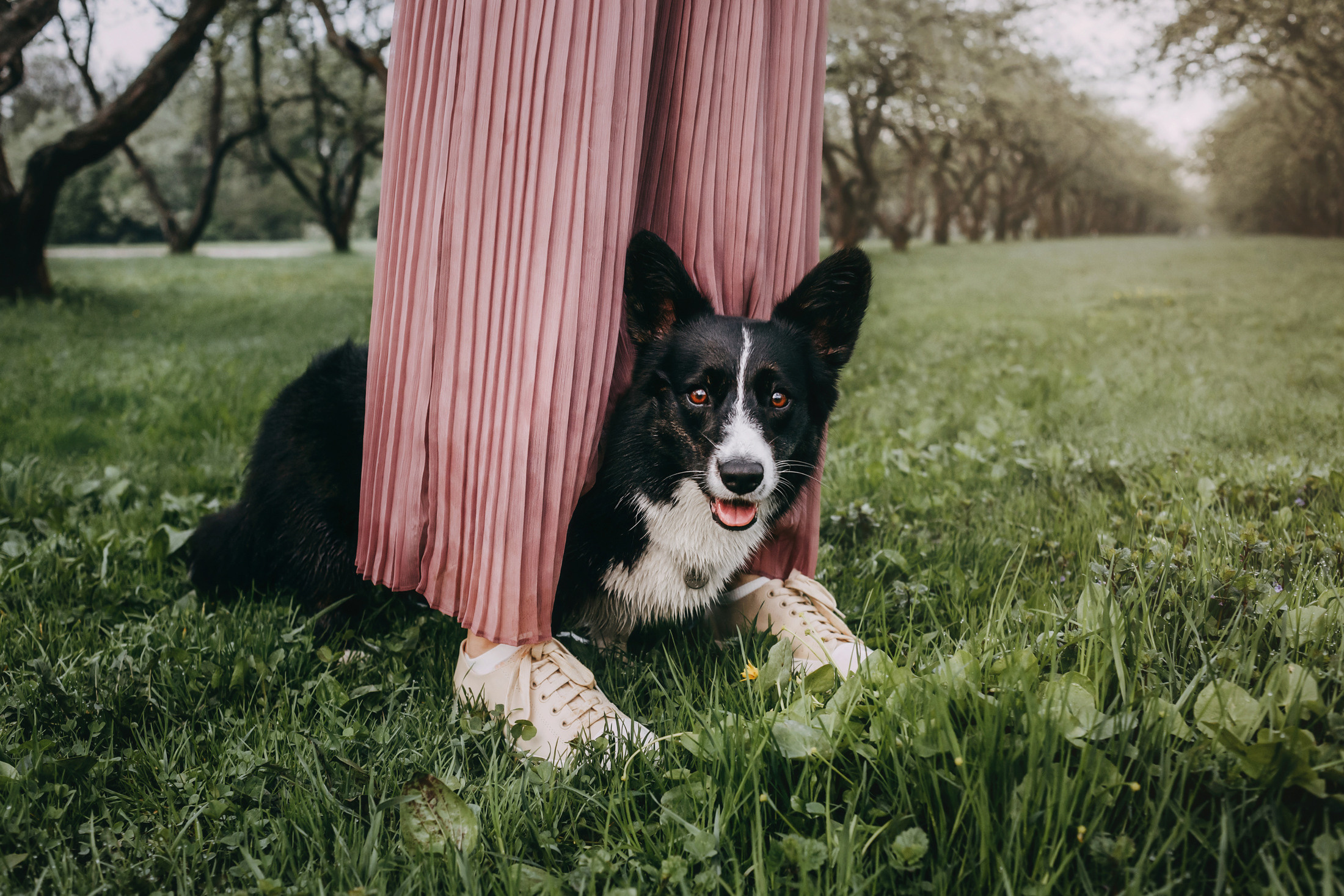 Андрей, Надя и Тара. Фотограф-анималист Елена Радченко, Москва