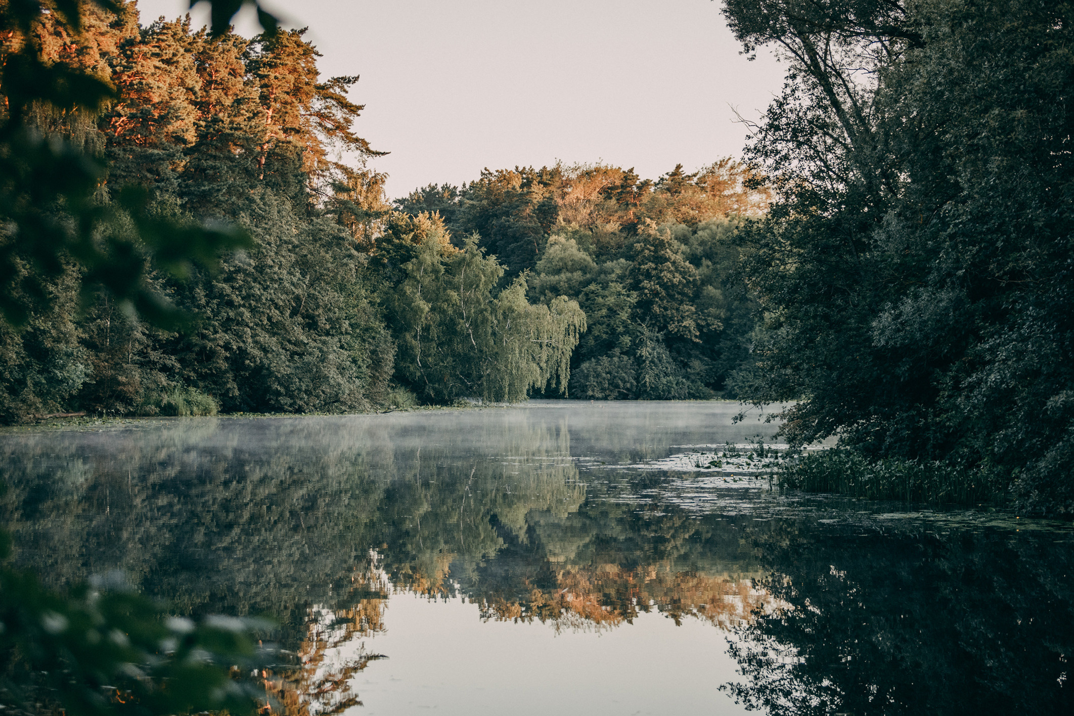 Оля в реке. Фотограф-анималист Елена Радченко, Москва