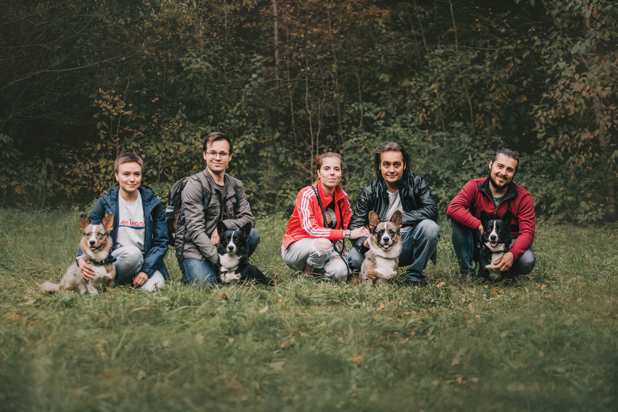 Корги встреча. Фотограф-анималист Елена Радченко, Москва