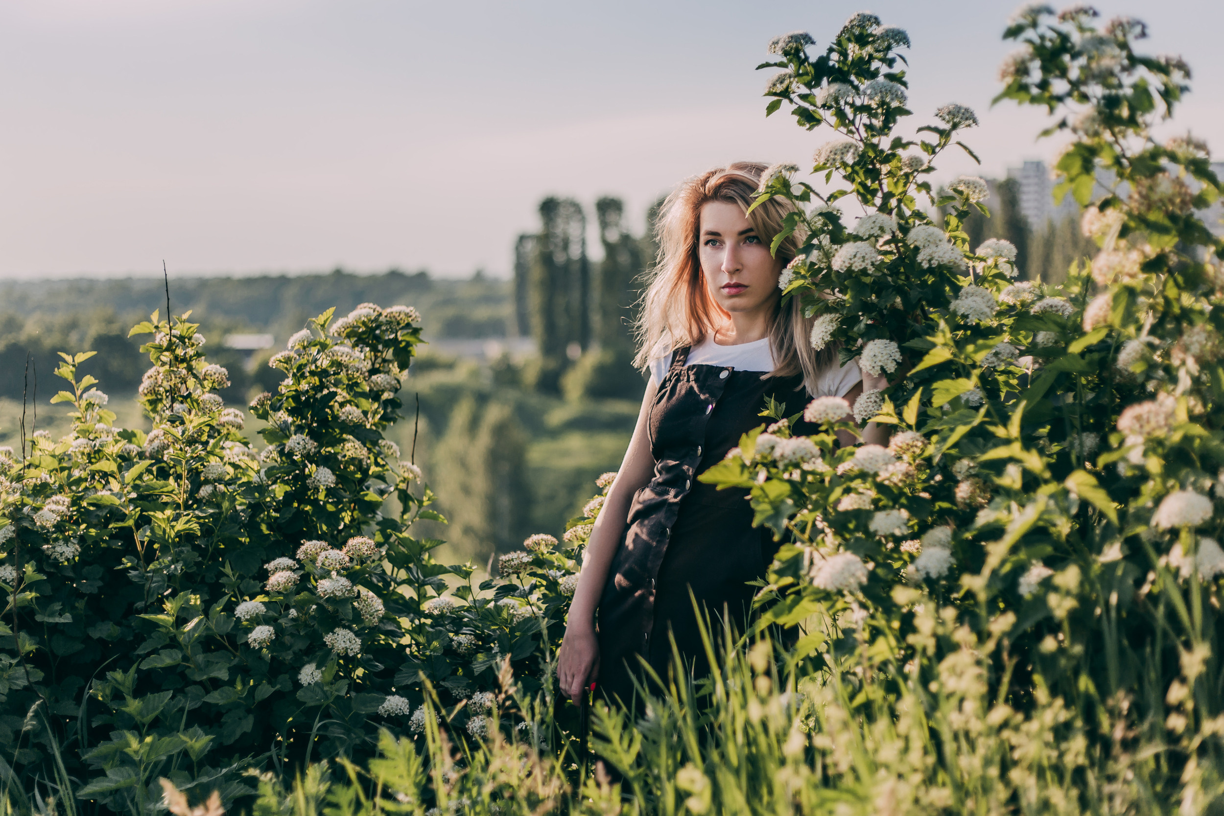 Нина в люпинах. Фотограф-анималист Елена Радченко, Москва