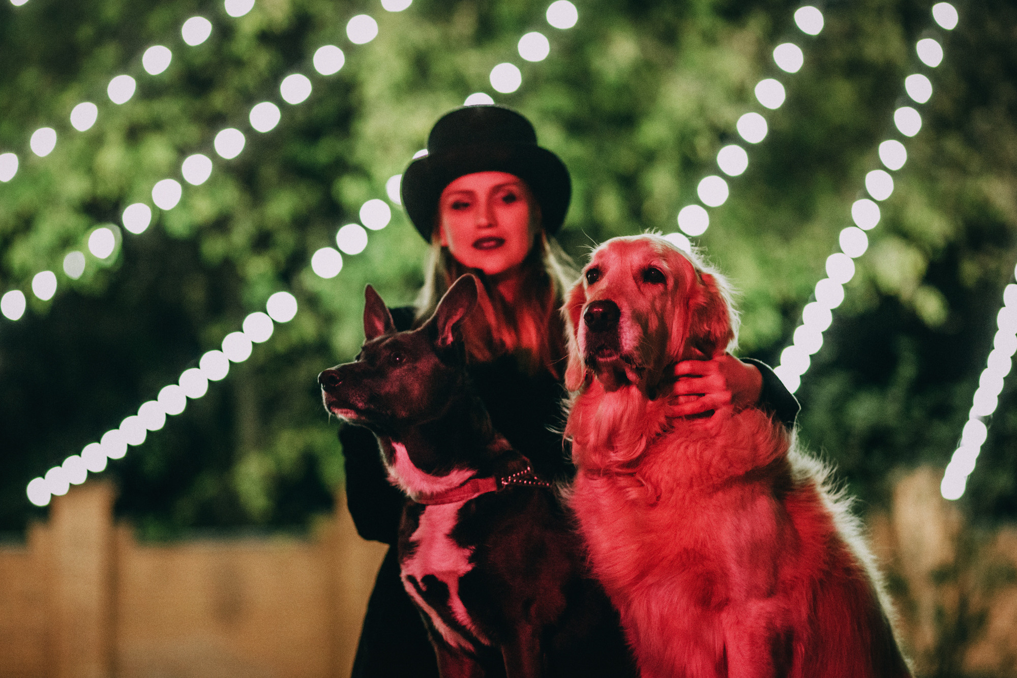 Ира, Бэлла и Альма. Фотограф-анималист Елена Радченко, Москва