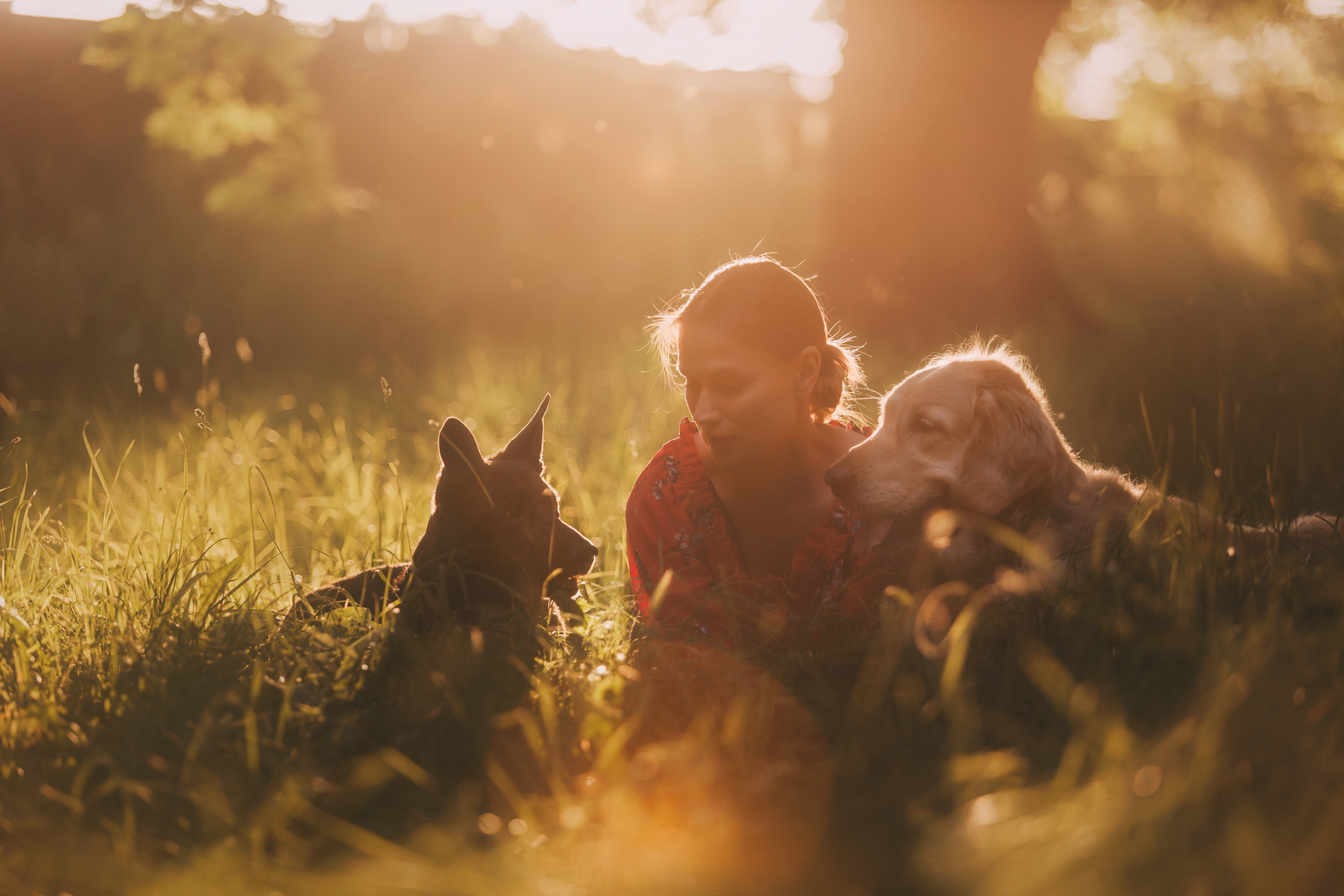 Ира, Бэлла и Альма. Фотограф-анималист Елена Радченко, Москва