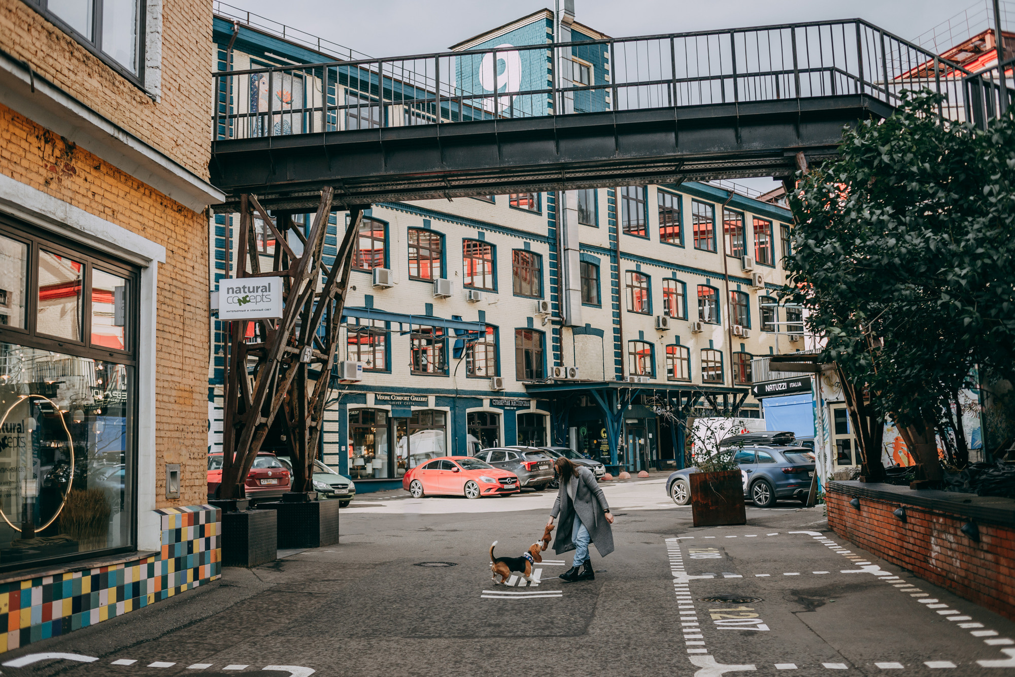 Марина и Дэй. Фотограф-анималист Елена Радченко, Москва