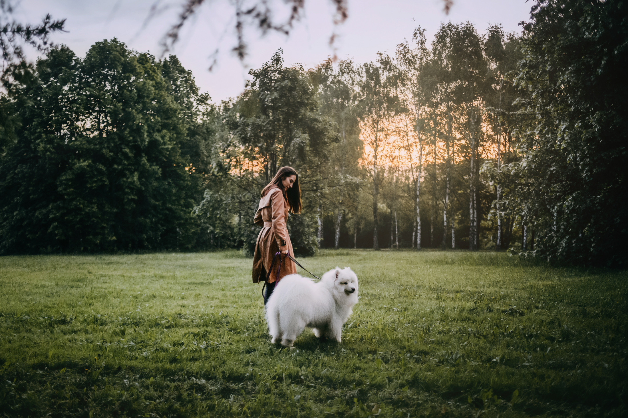 Эффи. Фотограф-анималист Елена Радченко, Москва