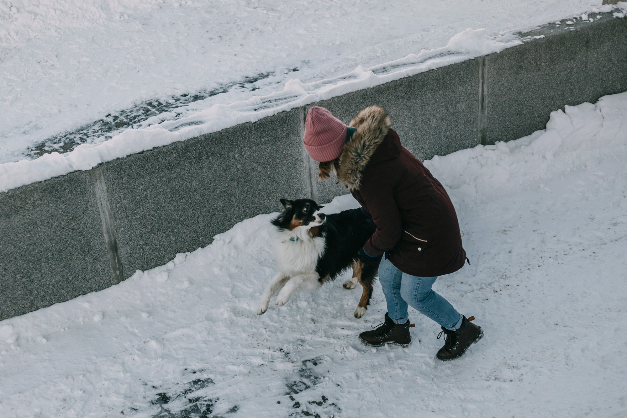 Анна и Чарли. Фотограф-анималист Елена Радченко, Москва