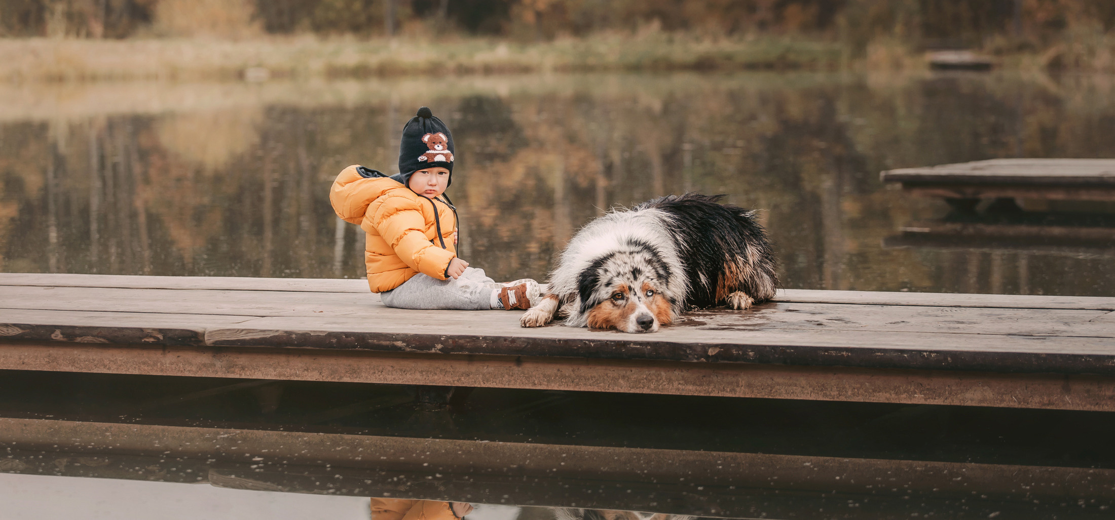 Фотограф-анималист Елена Радченко, Москва