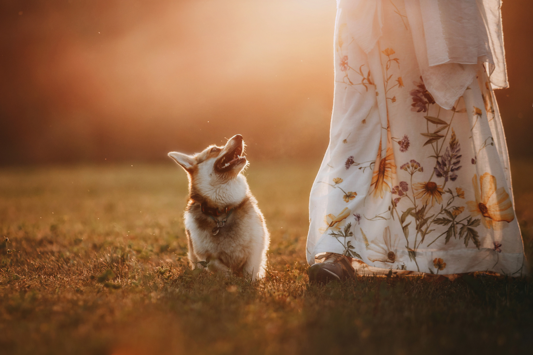 Вилена и Джуна. Фотограф-анималист Елена Радченко, Москва