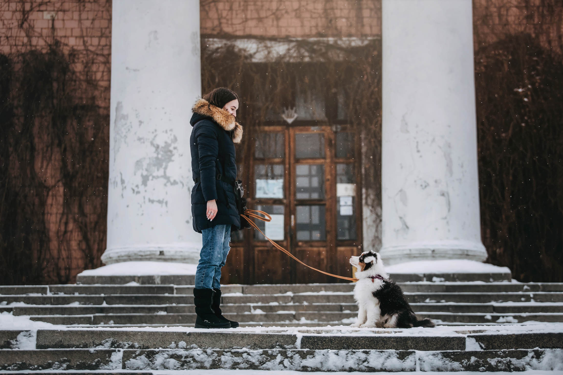 Эбби. Фотограф-анималист Елена Радченко, Москва