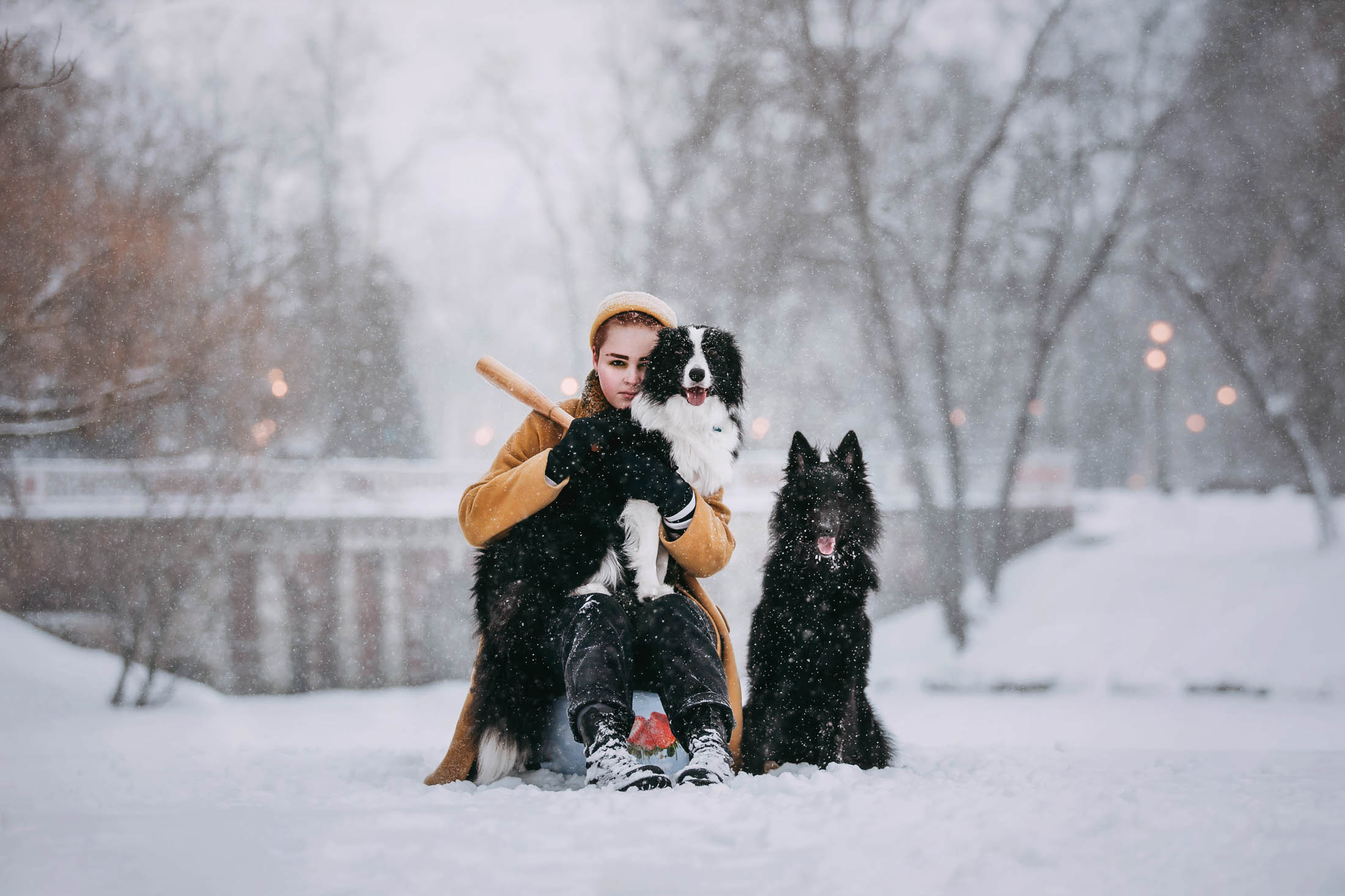 Мерлин и Адидас. Фотограф-анималист Елена Радченко, Москва