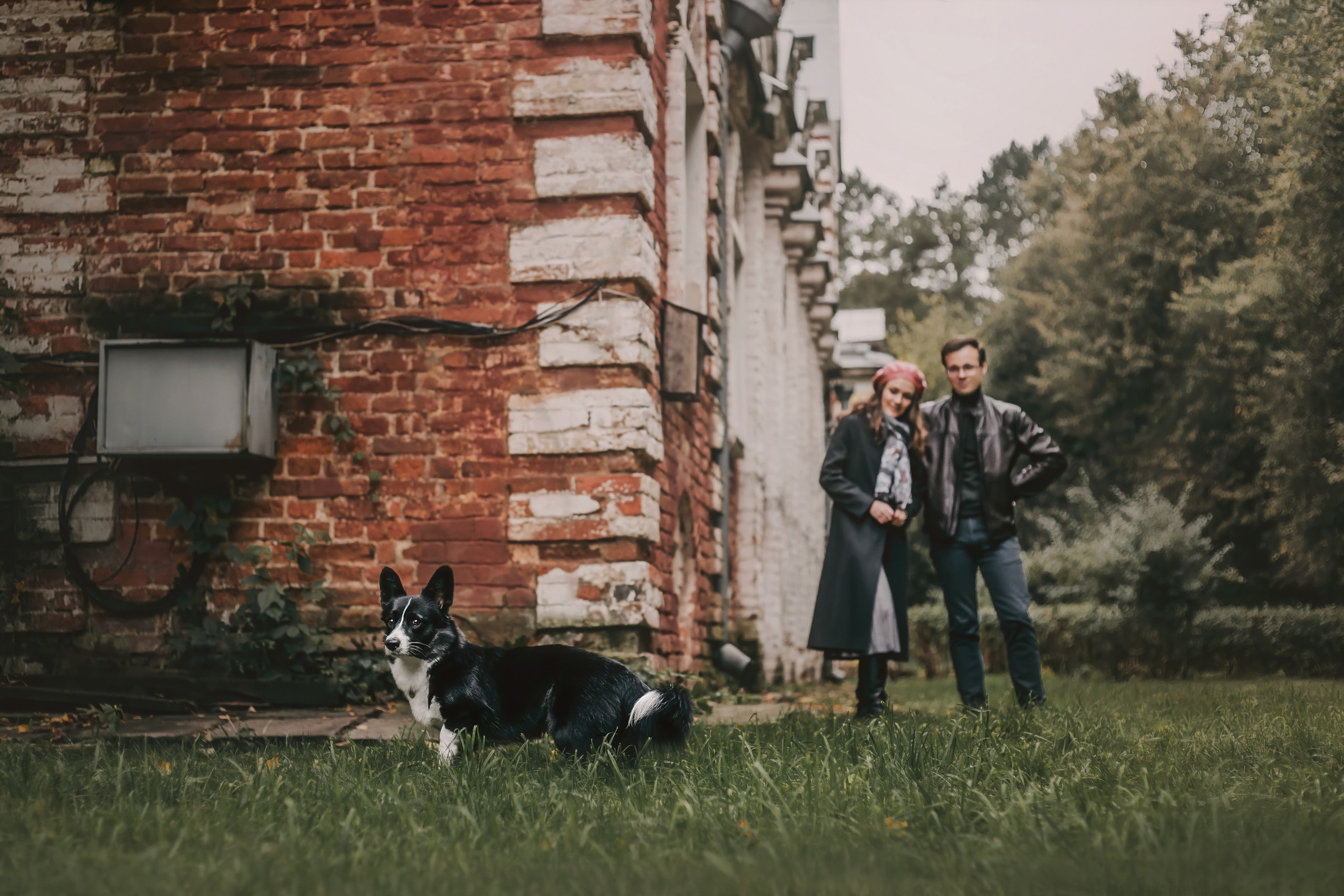 Андрей, Надя и Тара. Фотограф-анималист Елена Радченко, Москва