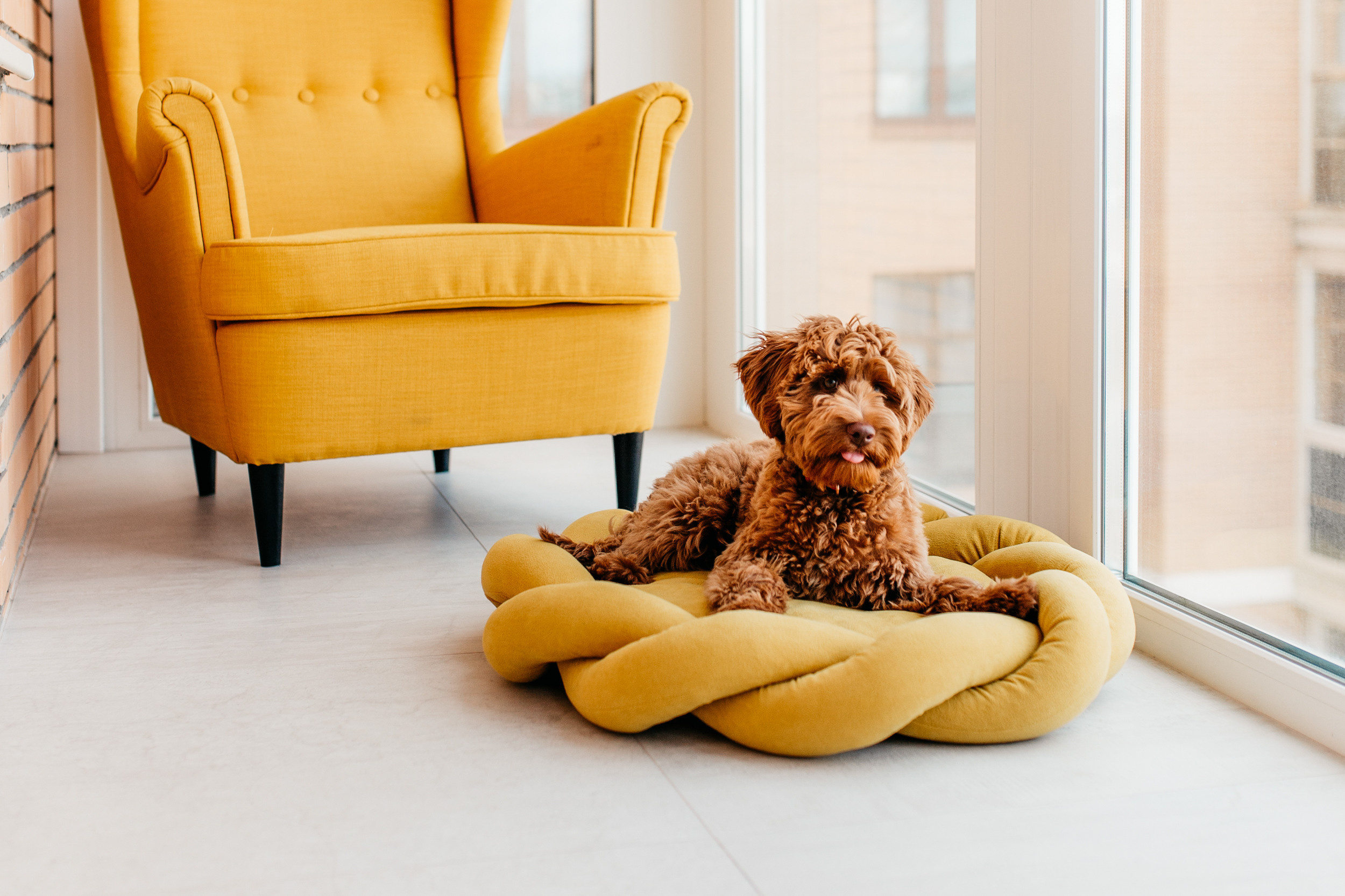 Магазин Bumbaboo. Фотограф-анималист Елена Радченко, Москва