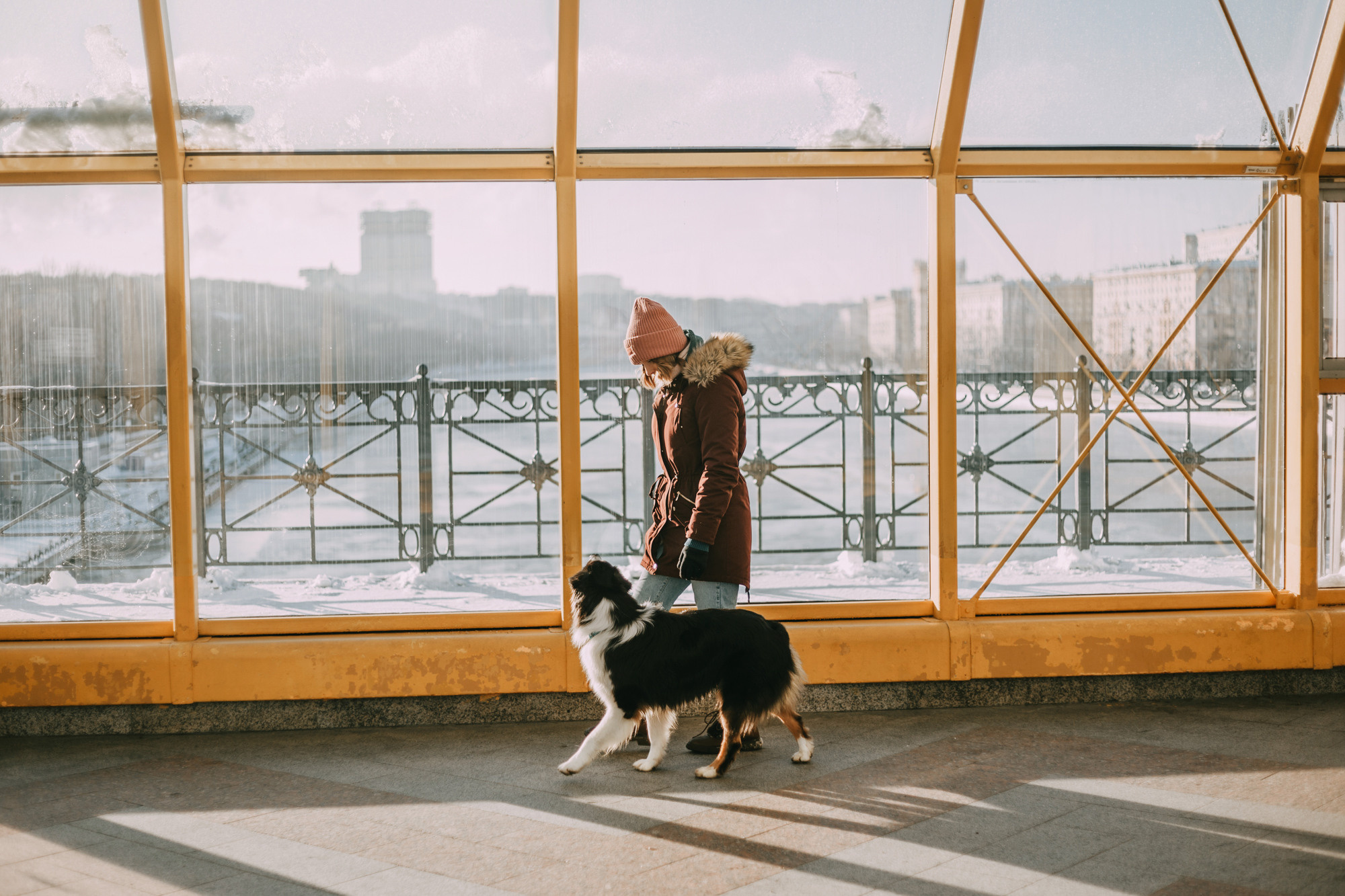 Анна и Чарли. Фотограф-анималист Елена Радченко, Москва