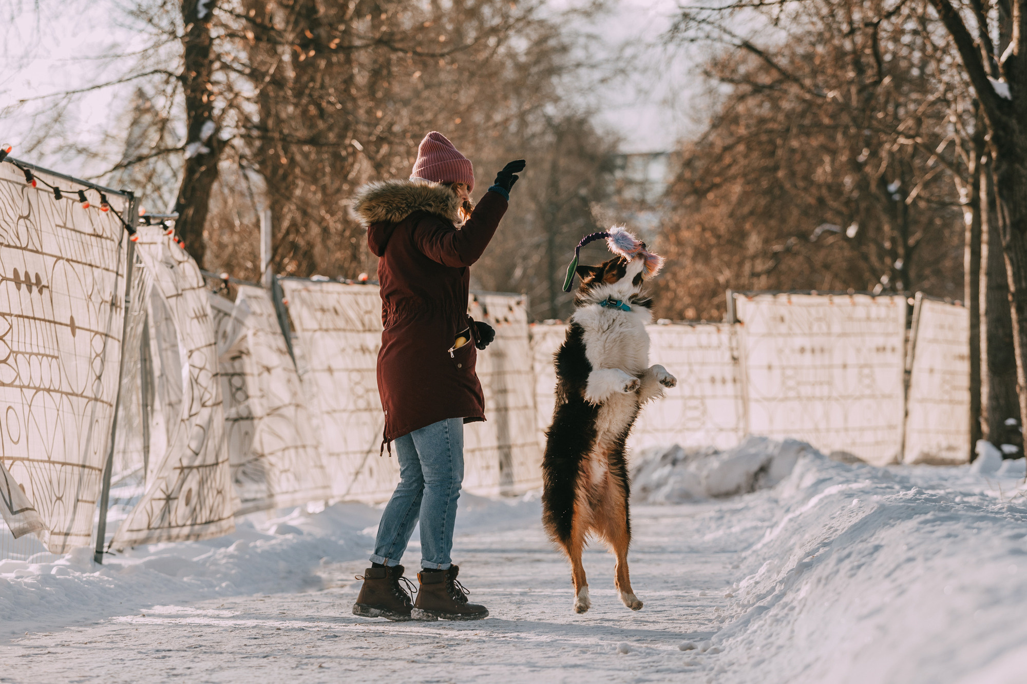 Анна и Чарли. Фотограф-анималист Елена Радченко, Москва