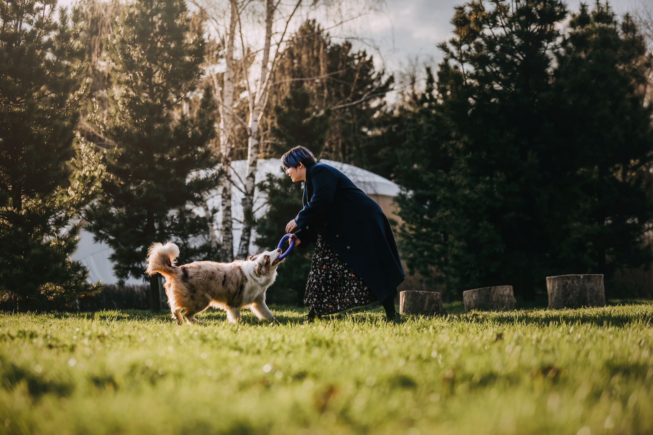 Джинни. Фотограф-анималист Елена Радченко, Москва