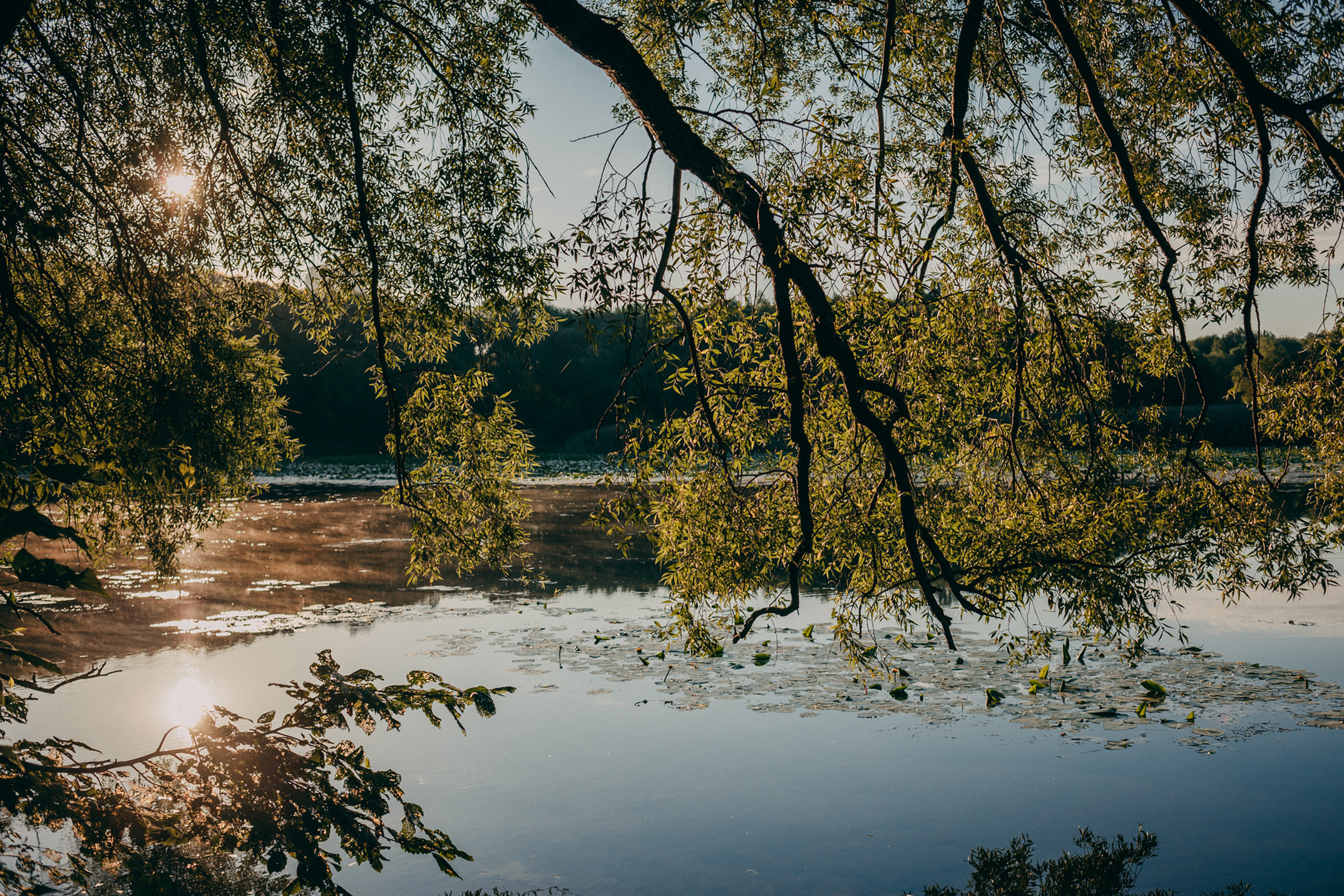 Оля в реке. Фотограф-анималист Елена Радченко, Москва