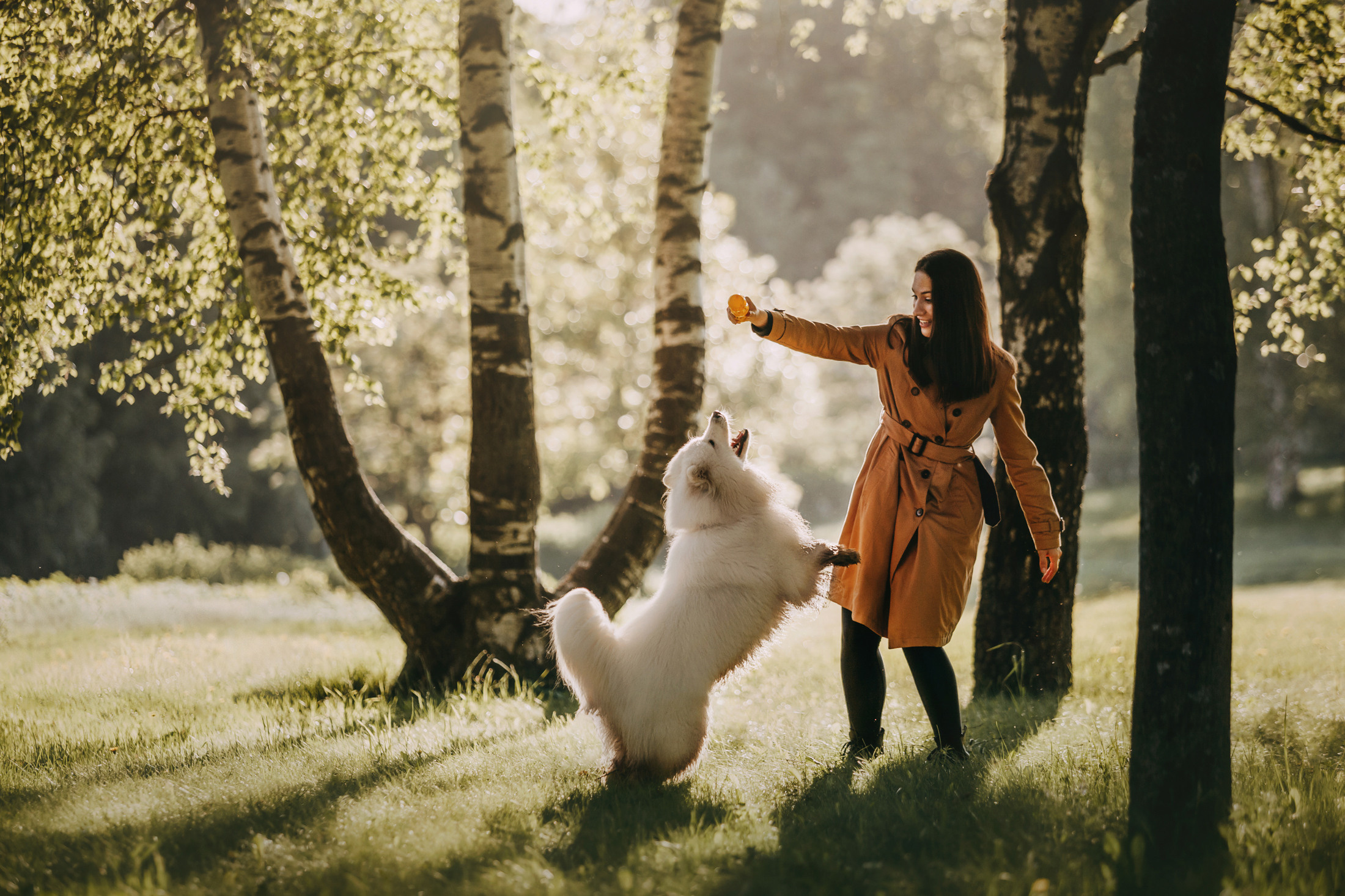 Эффи. Фотограф-анималист Елена Радченко, Москва