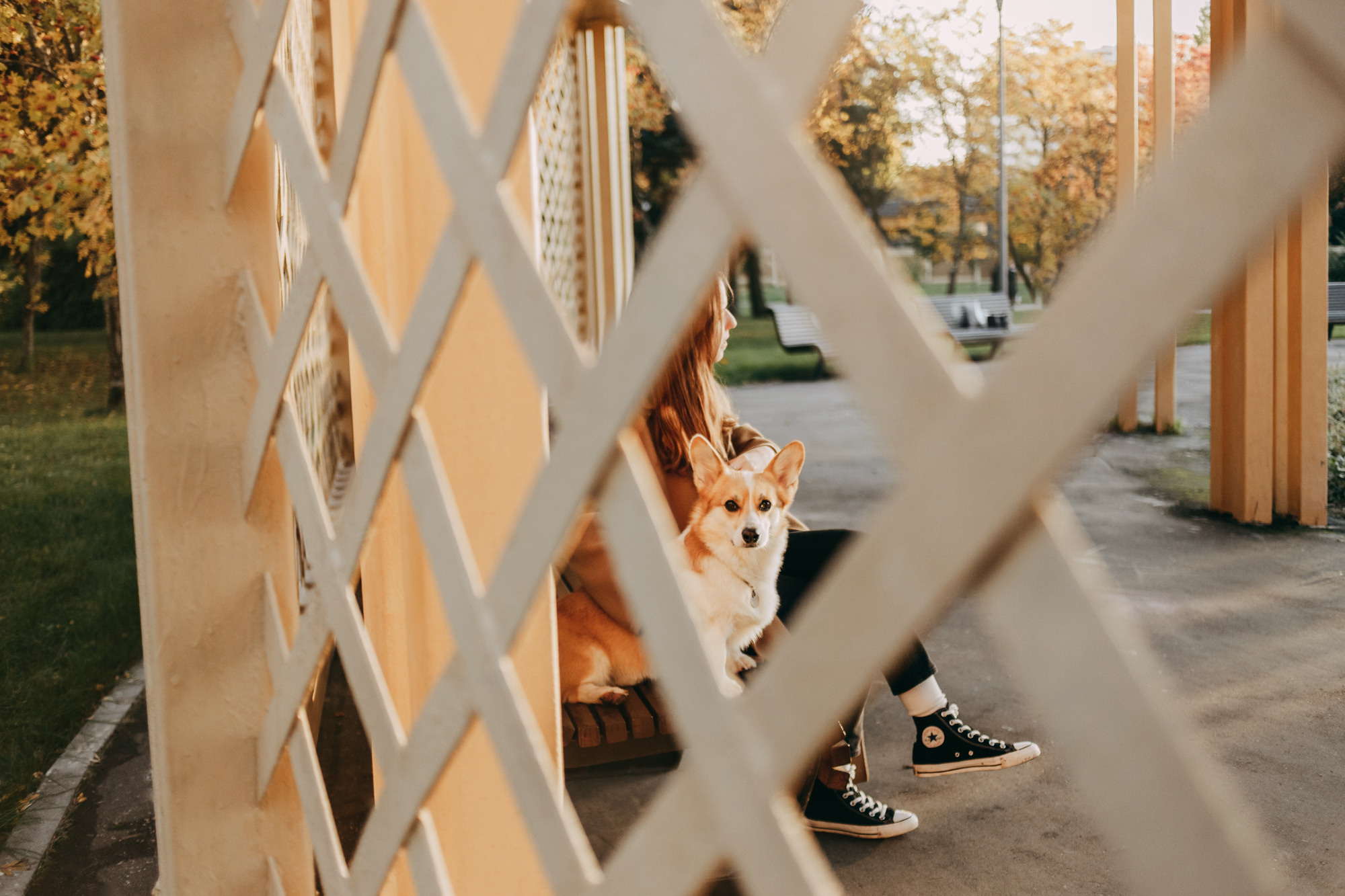 Настя и Пумба. Фотограф-анималист Елена Радченко, Москва