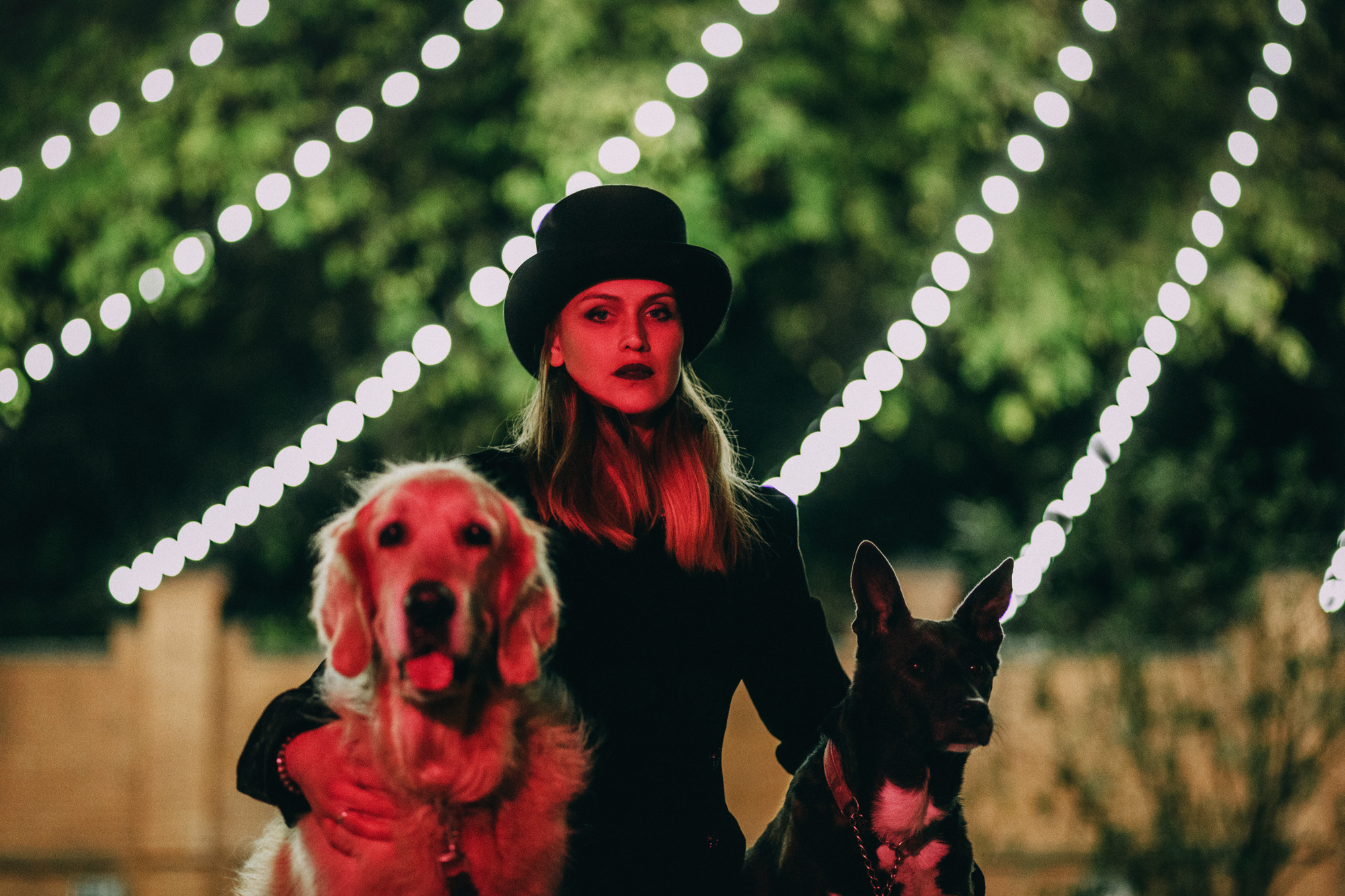 Ира, Бэлла и Альма. Фотограф-анималист Елена Радченко, Москва