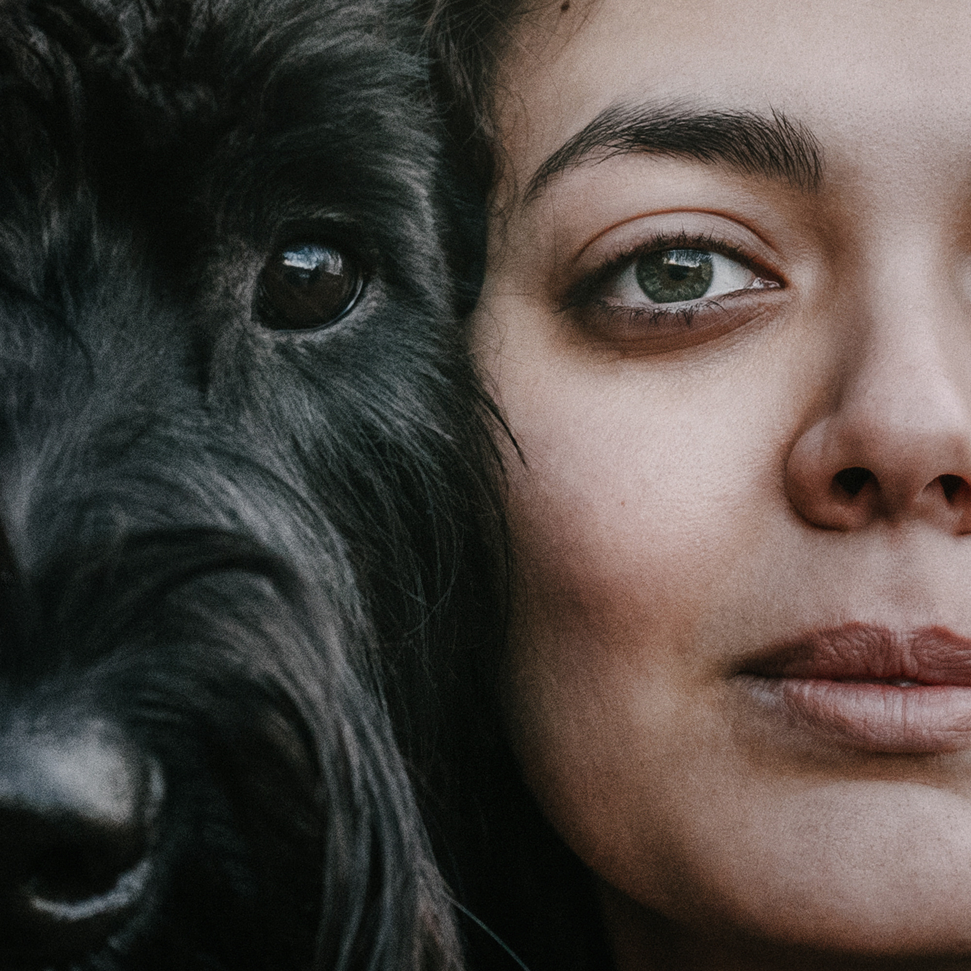 Асаль и Черри. Фотограф-анималист Елена Радченко, Москва