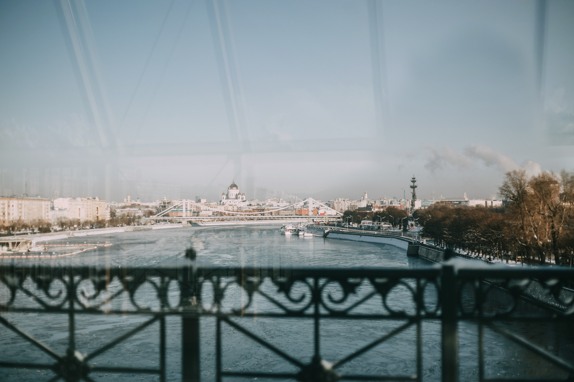 Анна и Чарли. Фотограф-анималист Елена Радченко, Москва