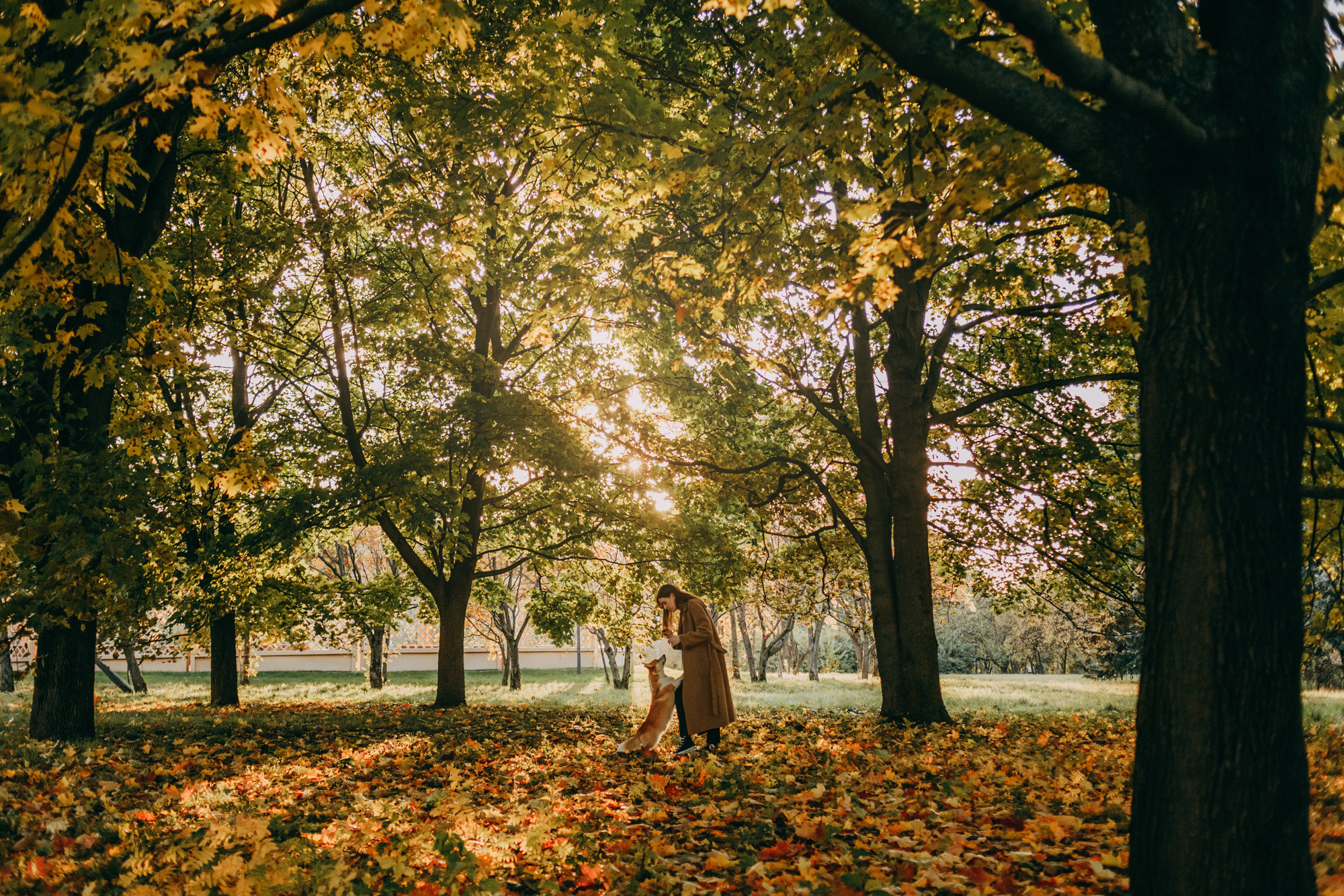 Настя и Пумба. Фотограф-анималист Елена Радченко, Москва