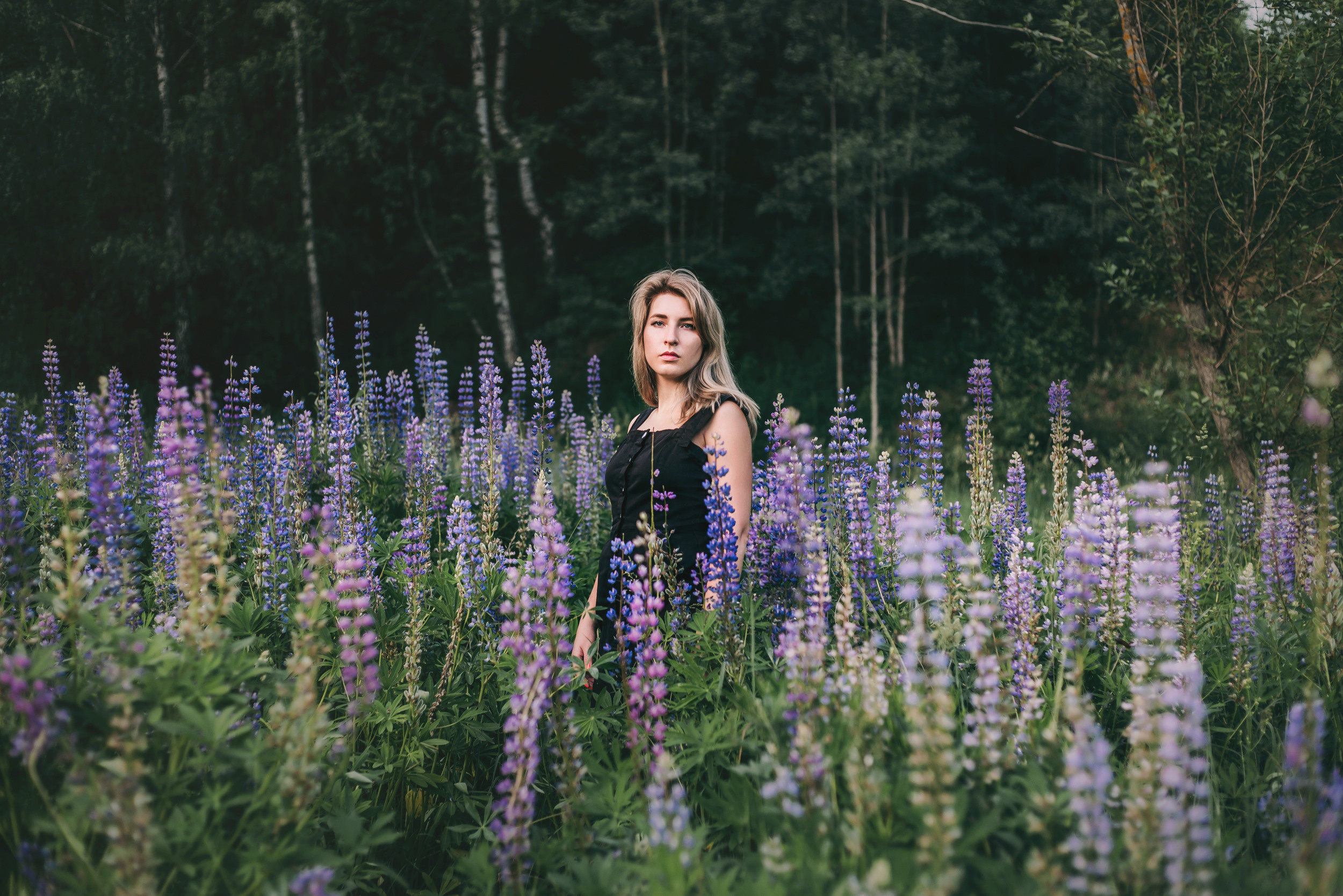 Нина в люпинах. Фотограф-анималист Елена Радченко, Москва