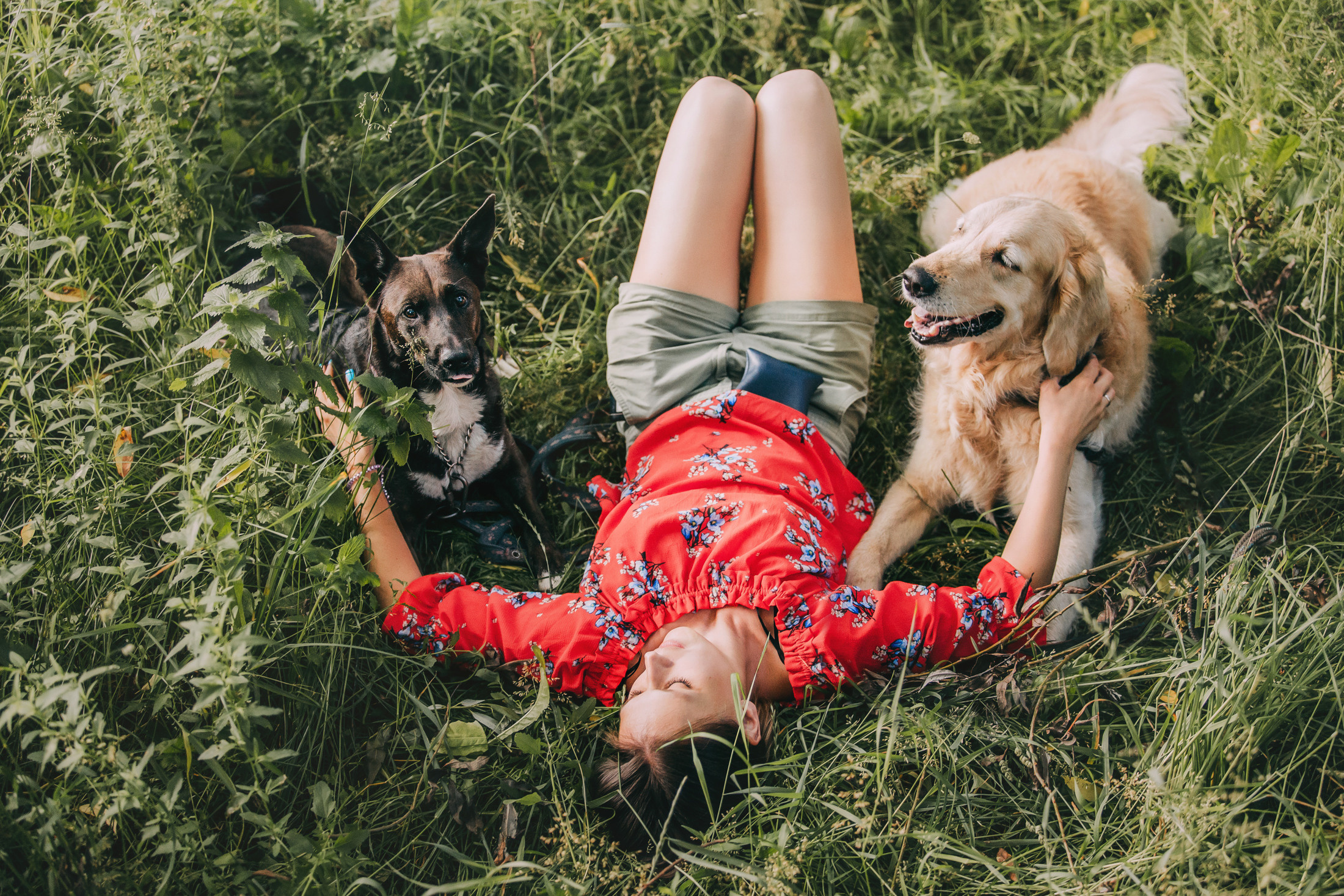 Ира, Бэлла и Альма. Фотограф-анималист Елена Радченко, Москва