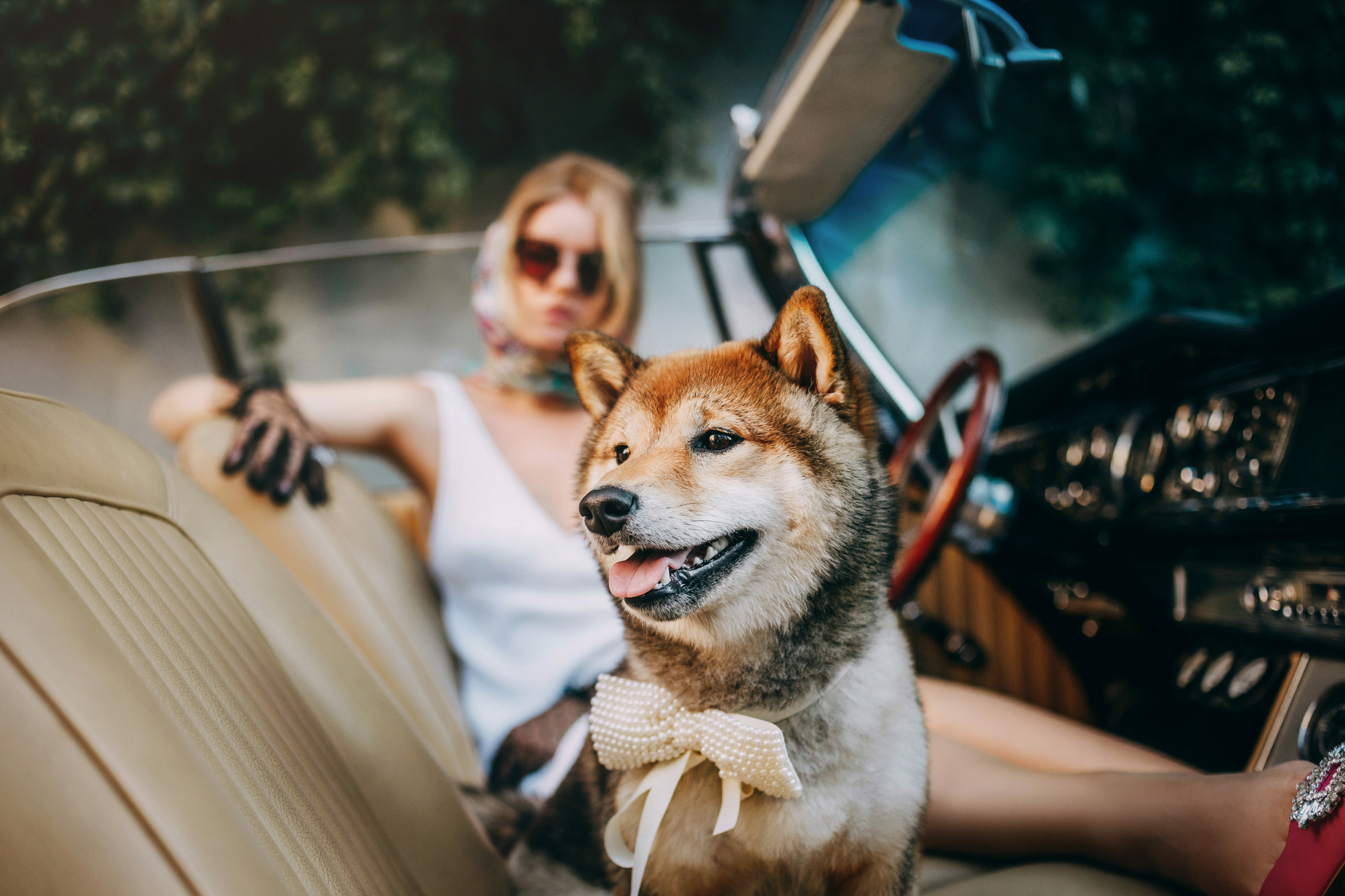 Наталья и Шанти. Фотограф-анималист Елена Радченко, Москва