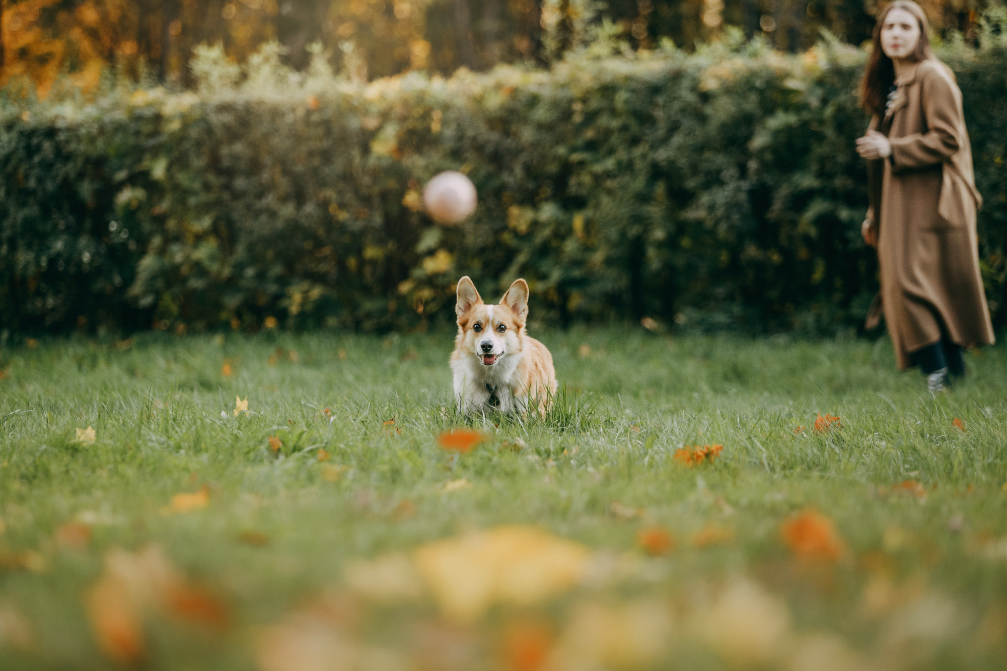 Настя и Пумба. Фотограф-анималист Елена Радченко, Москва