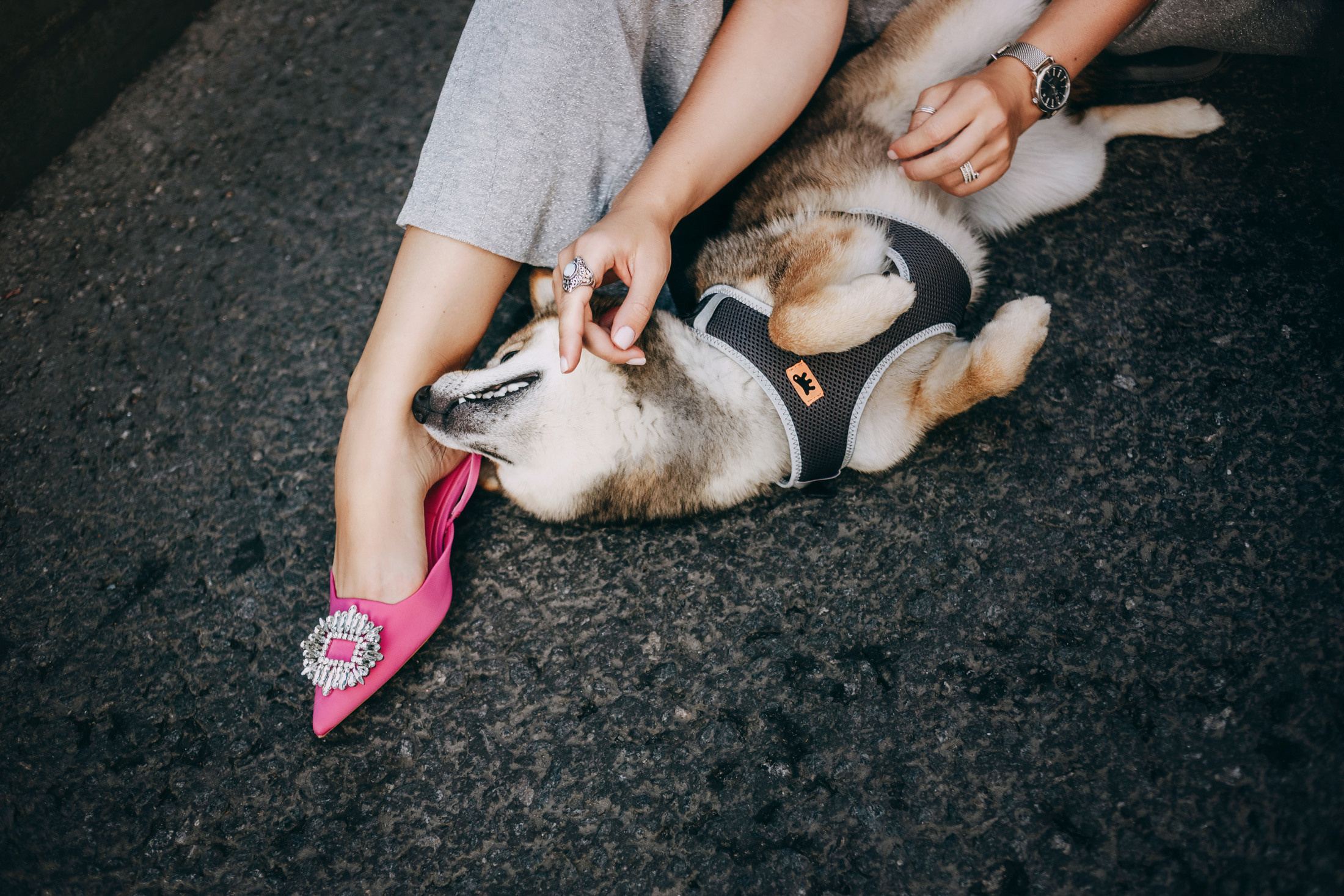 Наталья и Шанти. Фотограф-анималист Елена Радченко, Москва