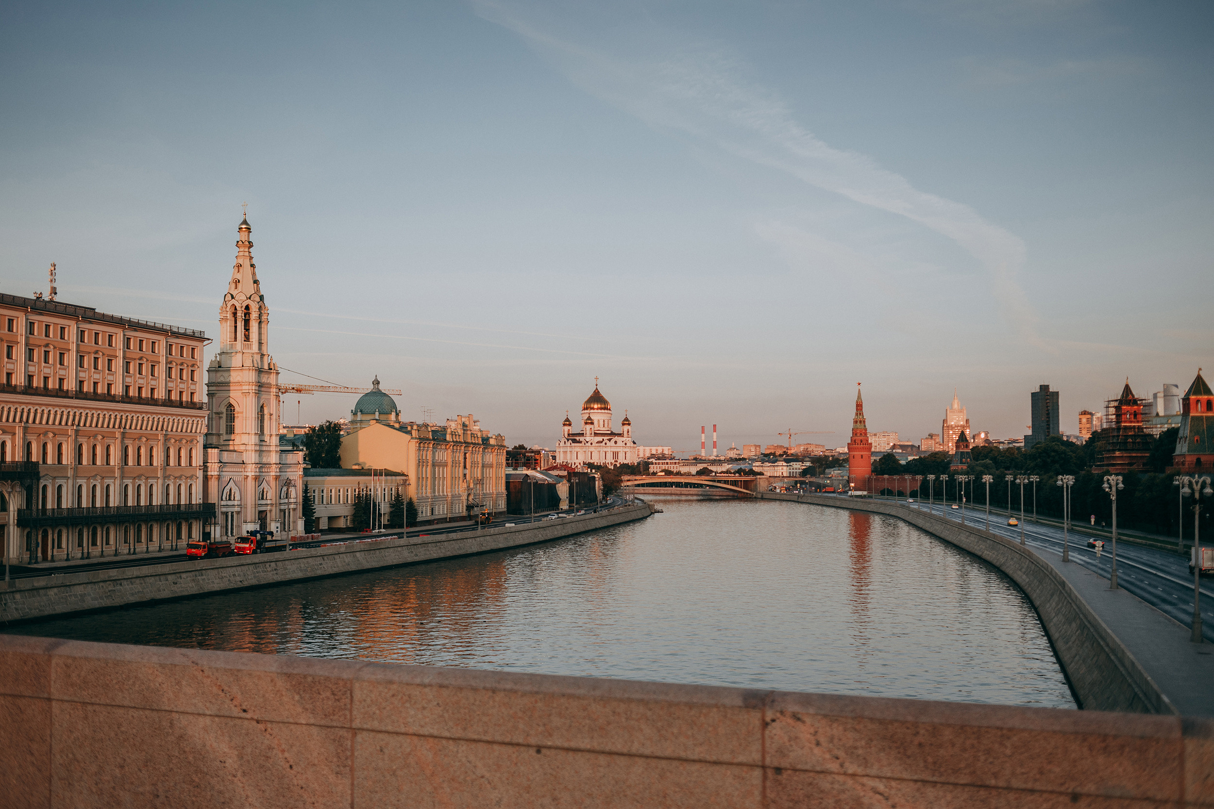 Никита, Катя, Стэн и Марвел. Фотограф-анималист Елена Радченко, Москва