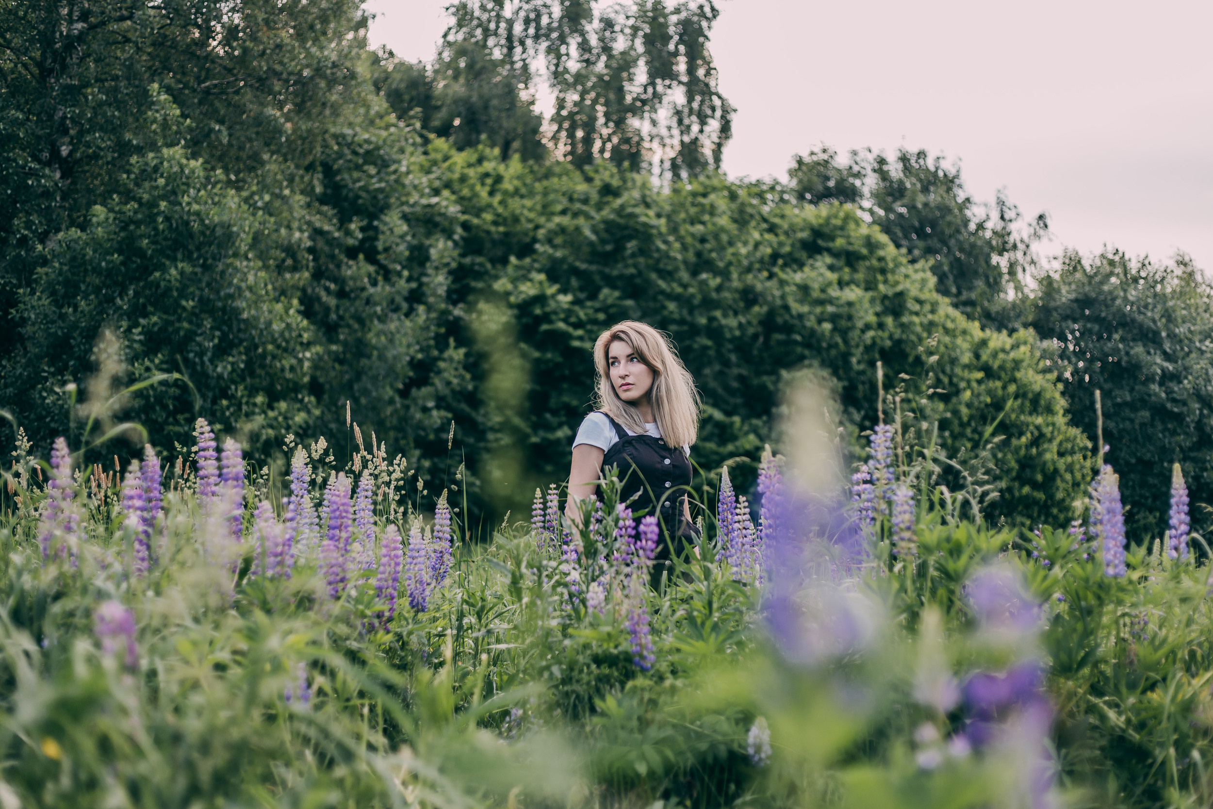 Нина в люпинах. Фотограф-анималист Елена Радченко, Москва